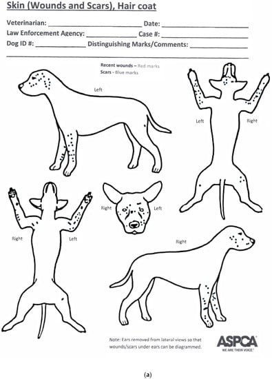 Animals 06 00072 g004a 550