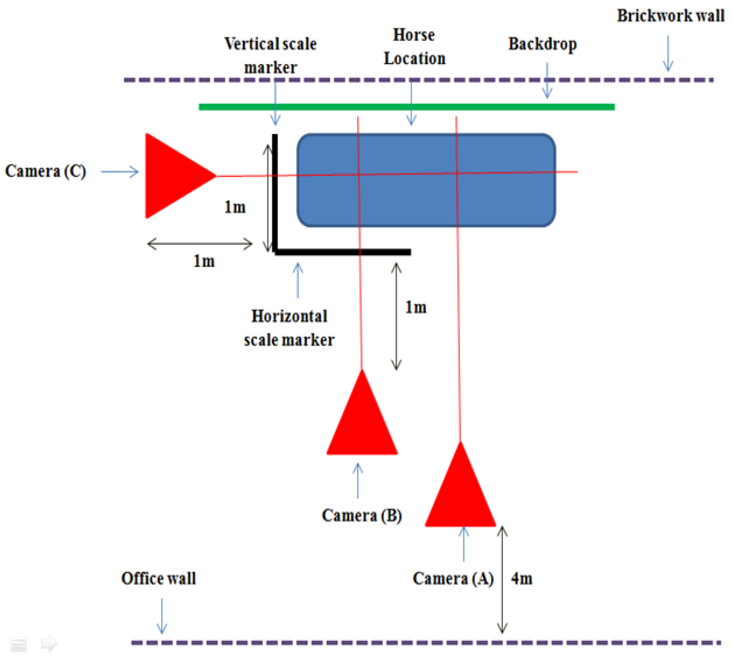 Animals 07 00029 g001