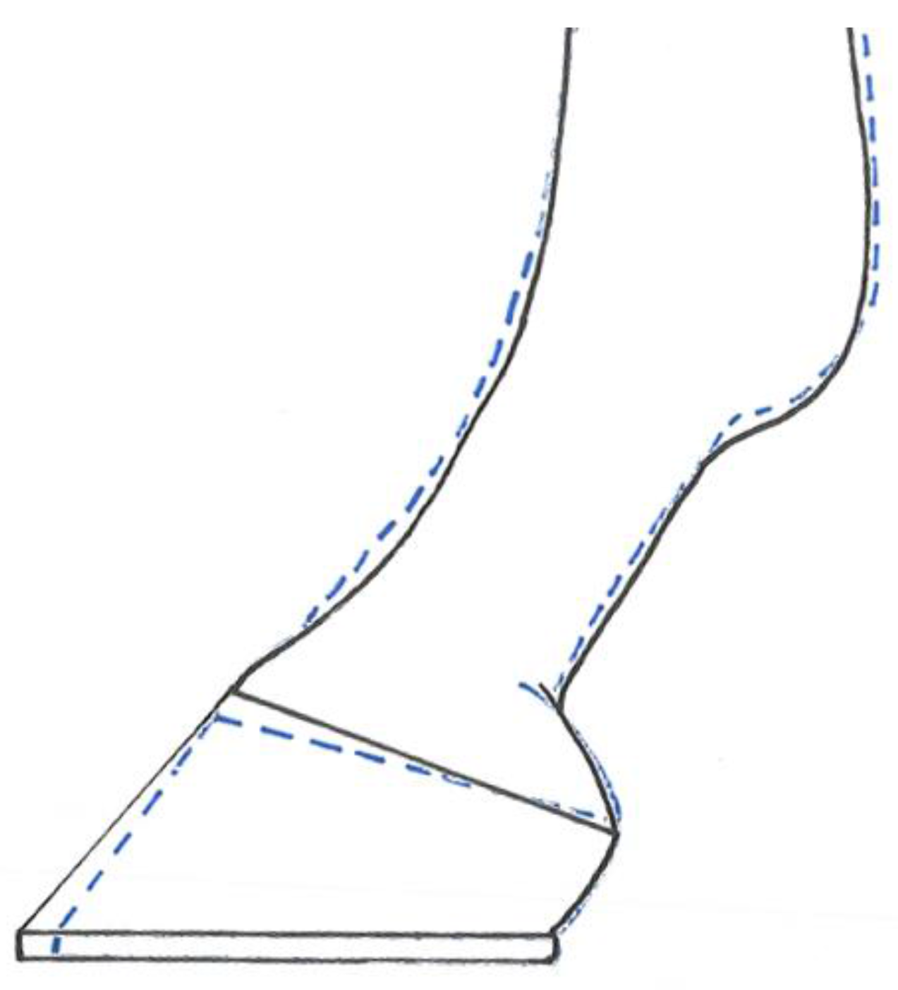 Animals 07 00029 g003