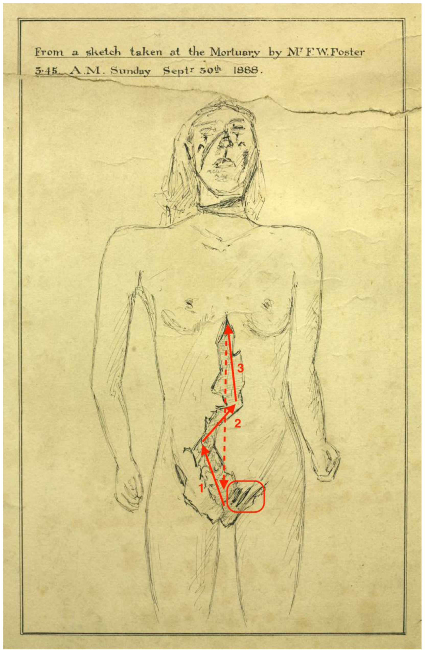 Animals 07 00030 g001