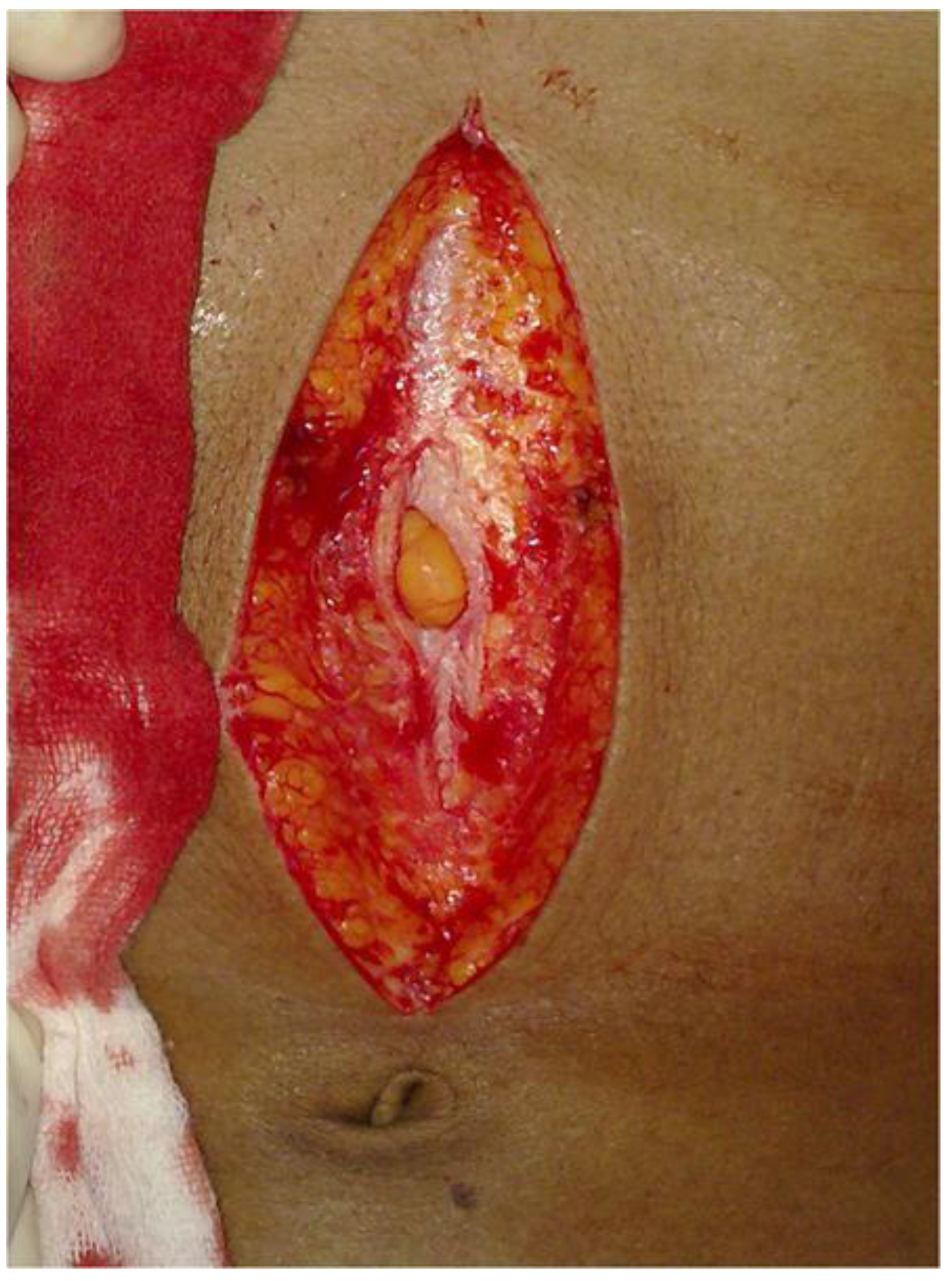 Animals 07 00030 g002