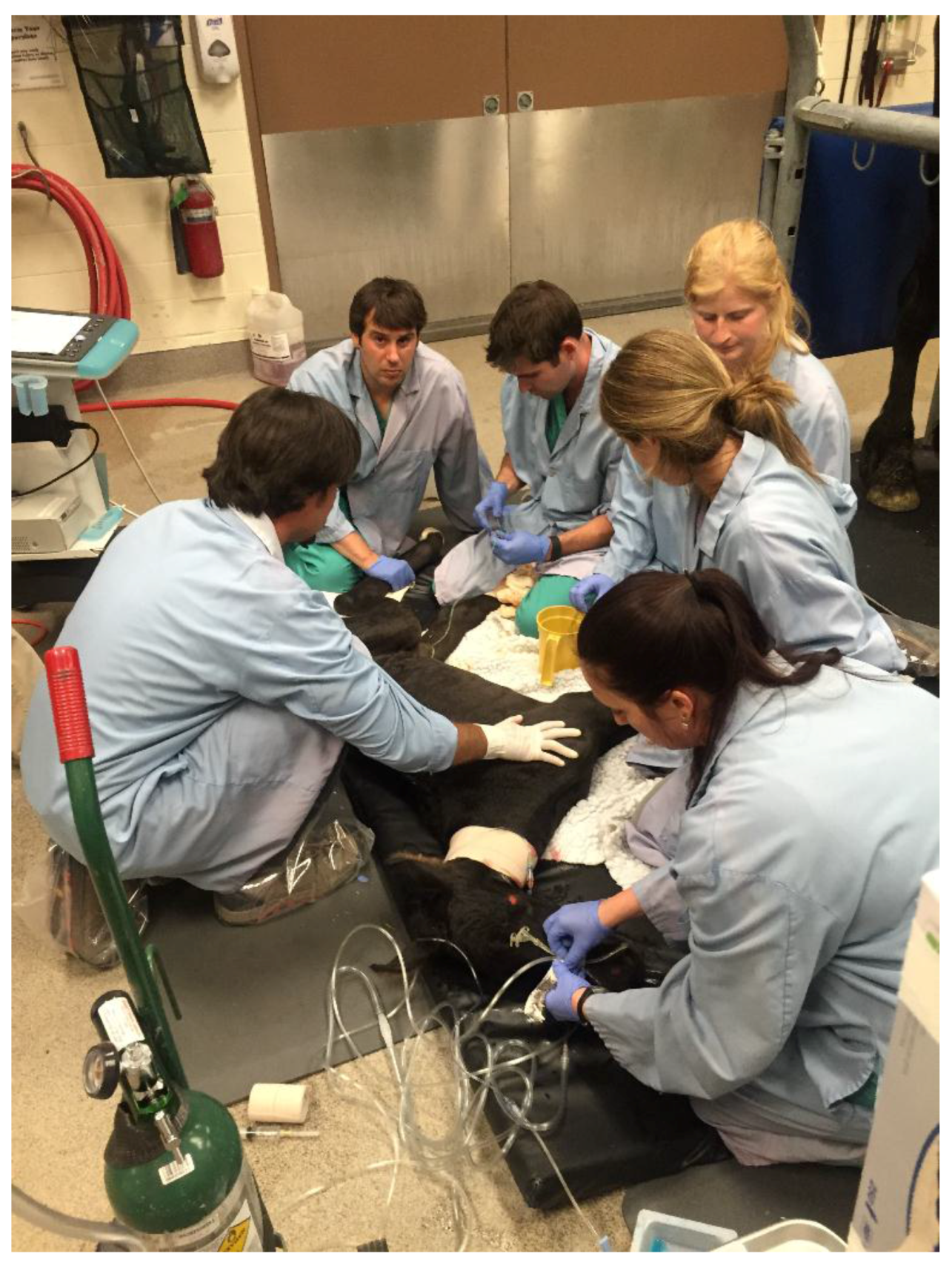 Animals 07 00069 g001