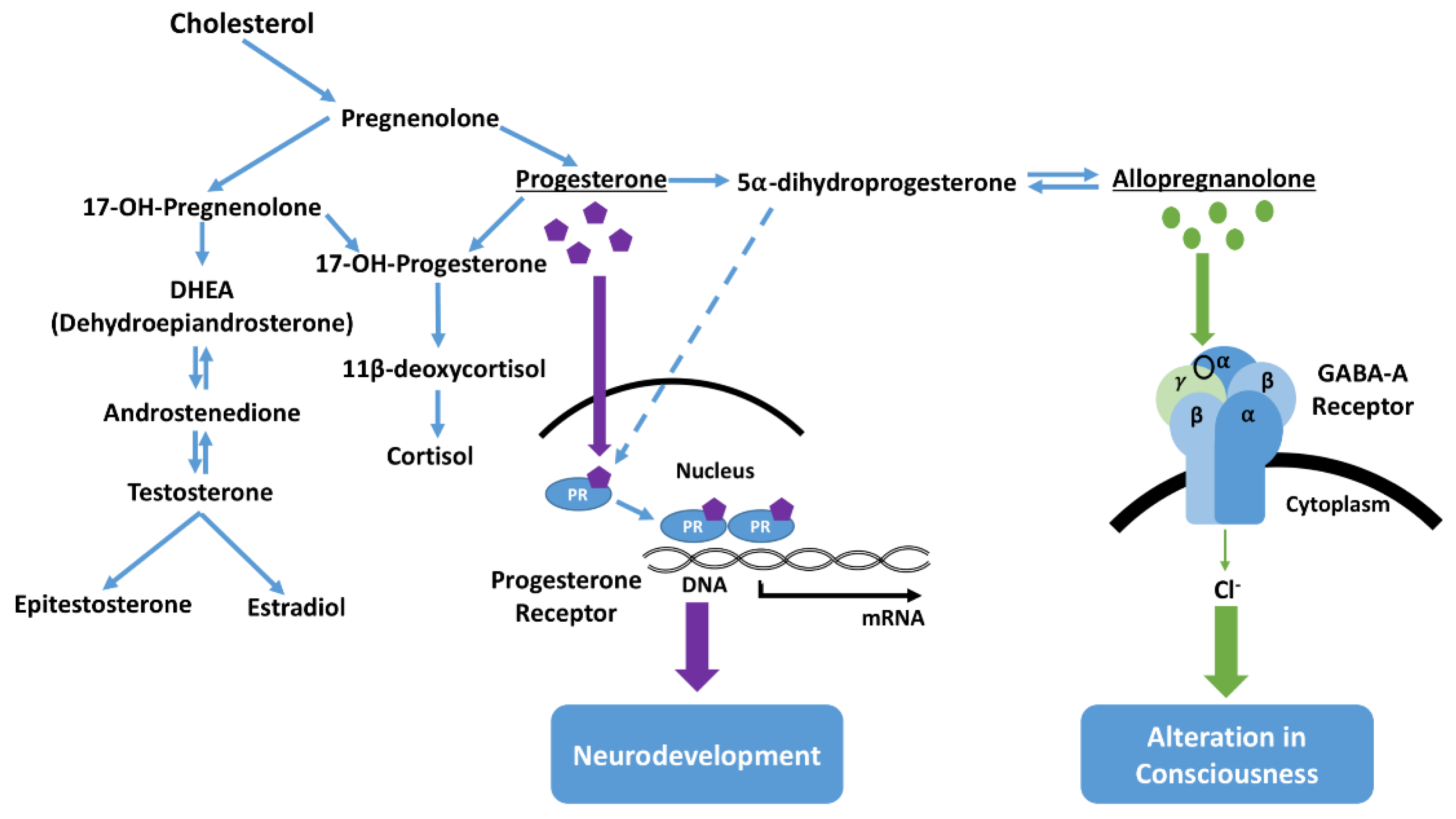 Animals 07 00069 g005