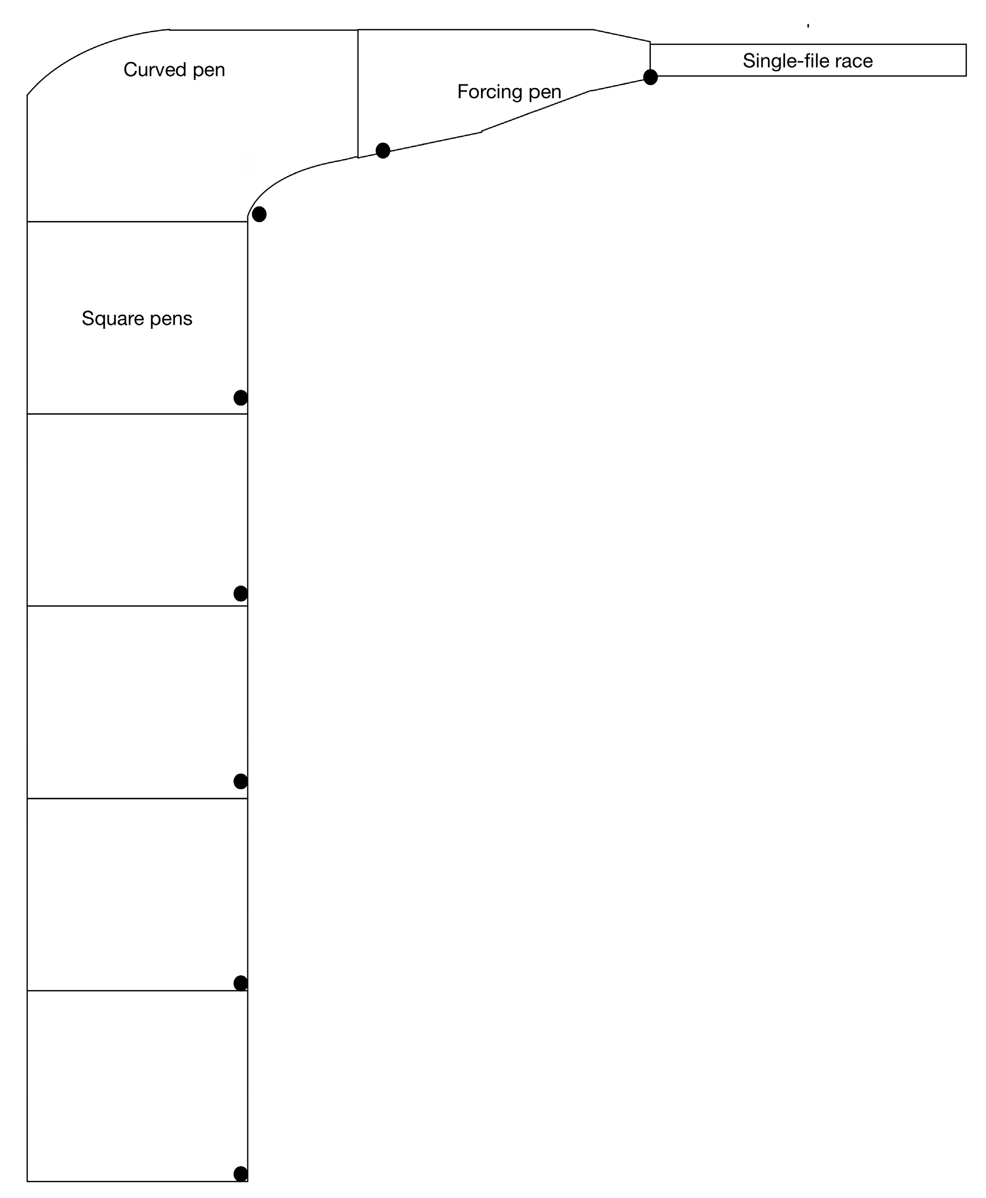 Animals 07 00082 g001