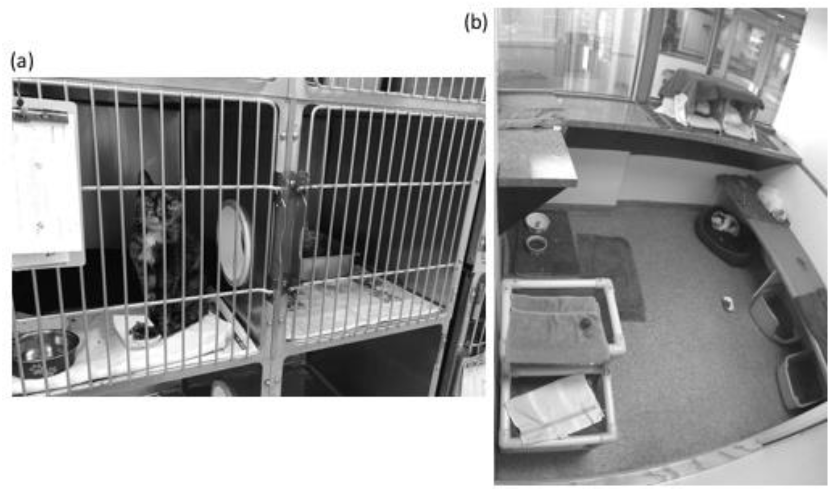 Animals 08 00029 g001