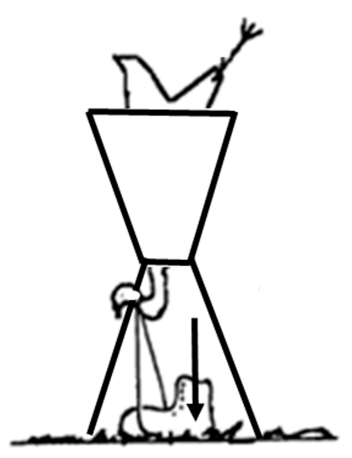 Animals 08 00039 g001