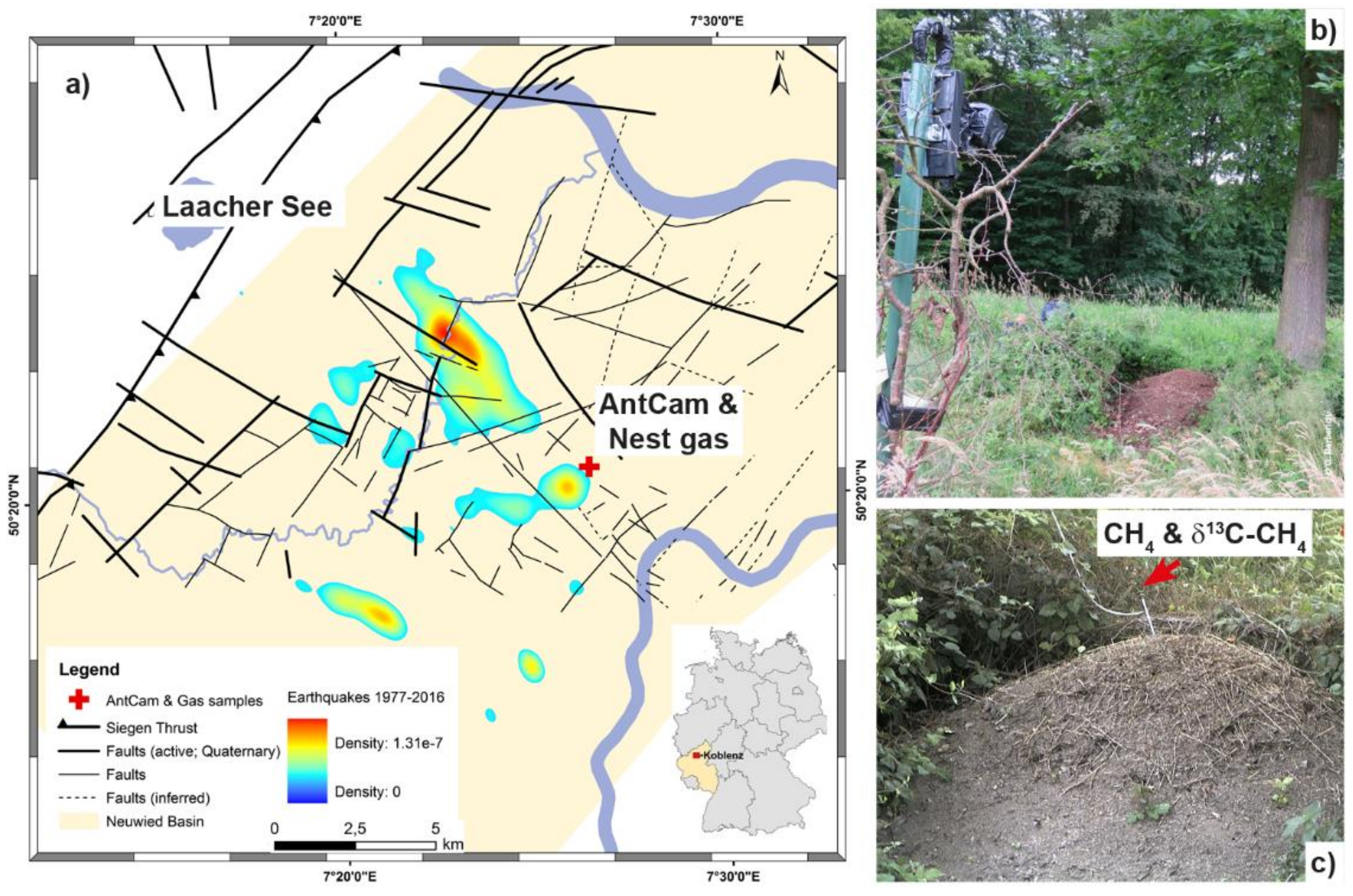 Animals 08 00046 g001