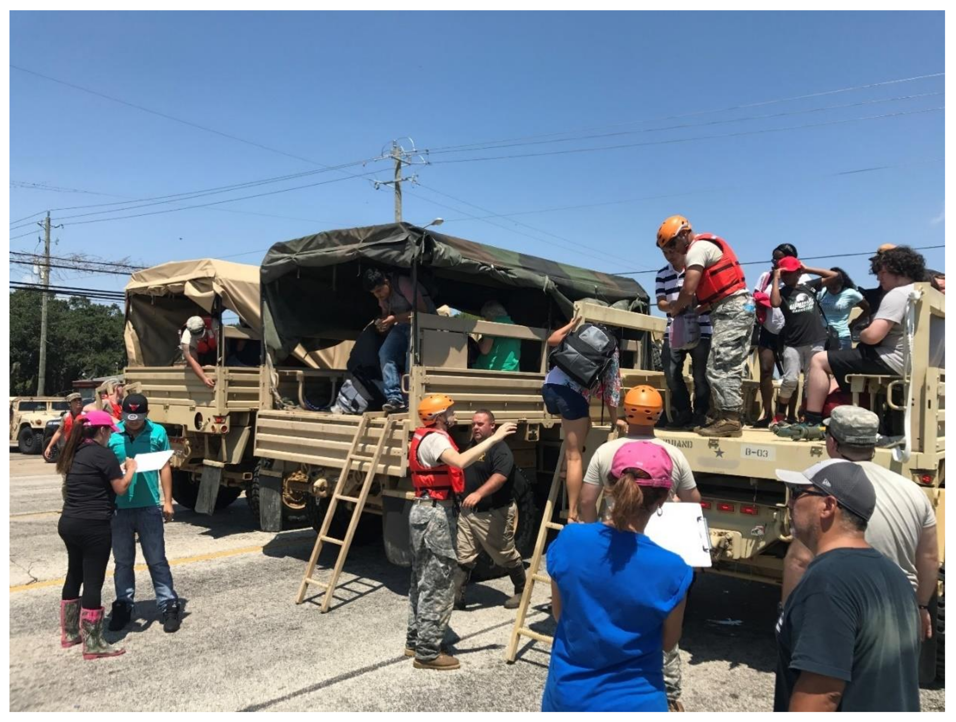 Animals 08 00047 g001