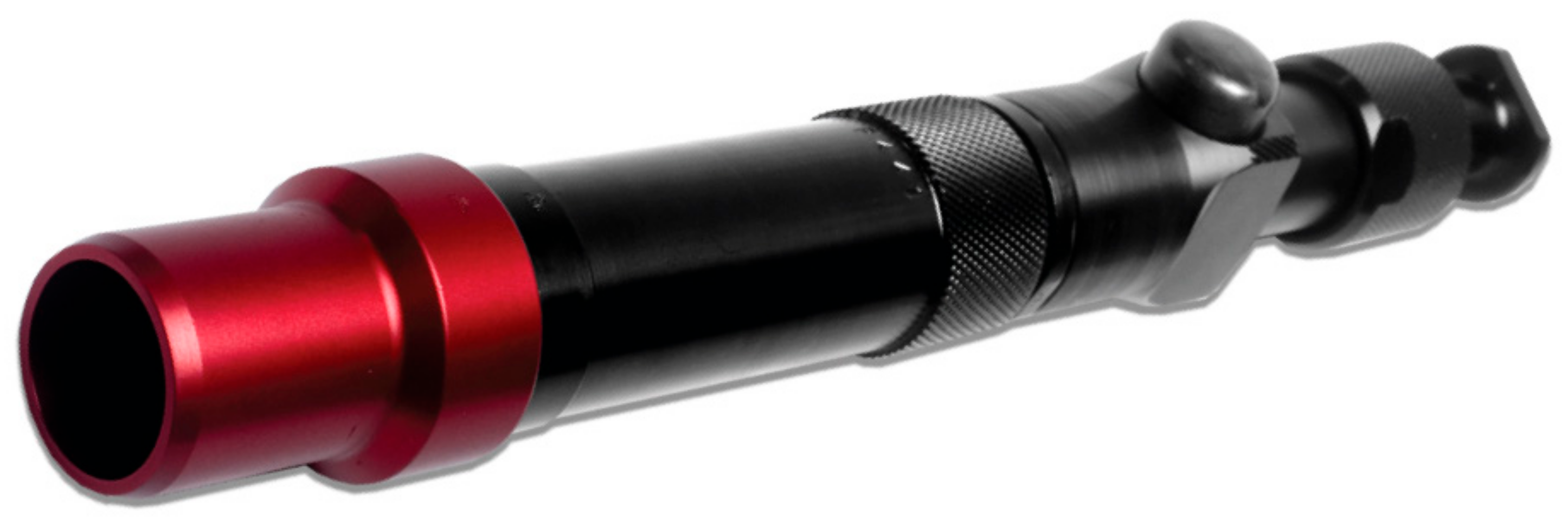 Animals 08 00048 g001