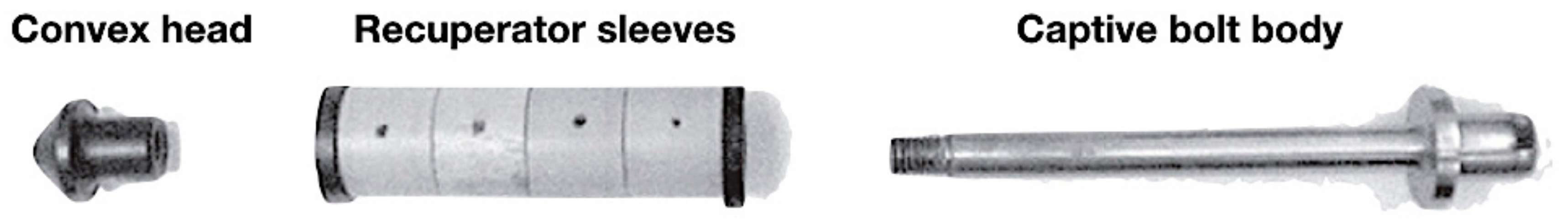 Animals 08 00048 g002