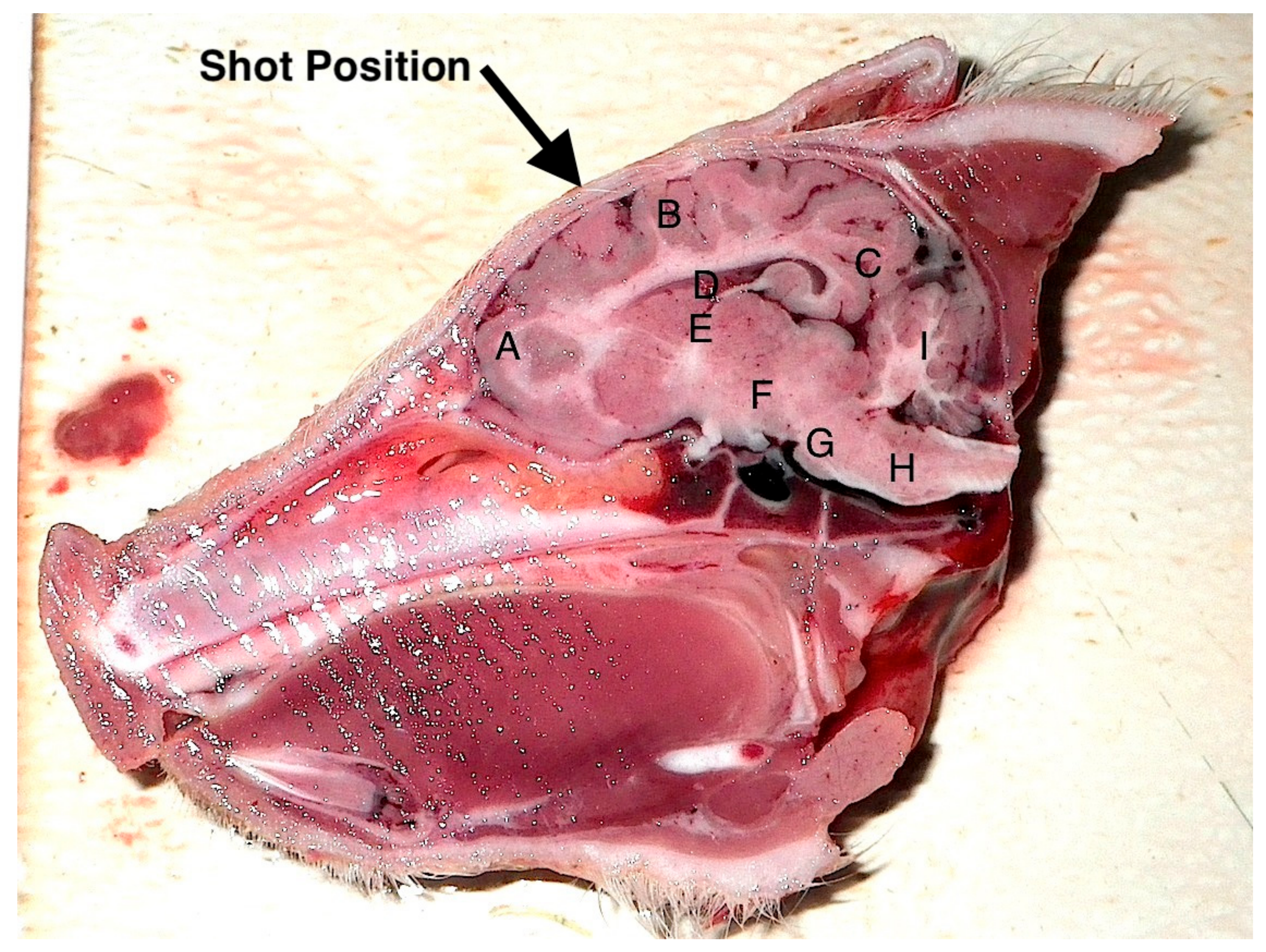 Animals 08 00048 g006