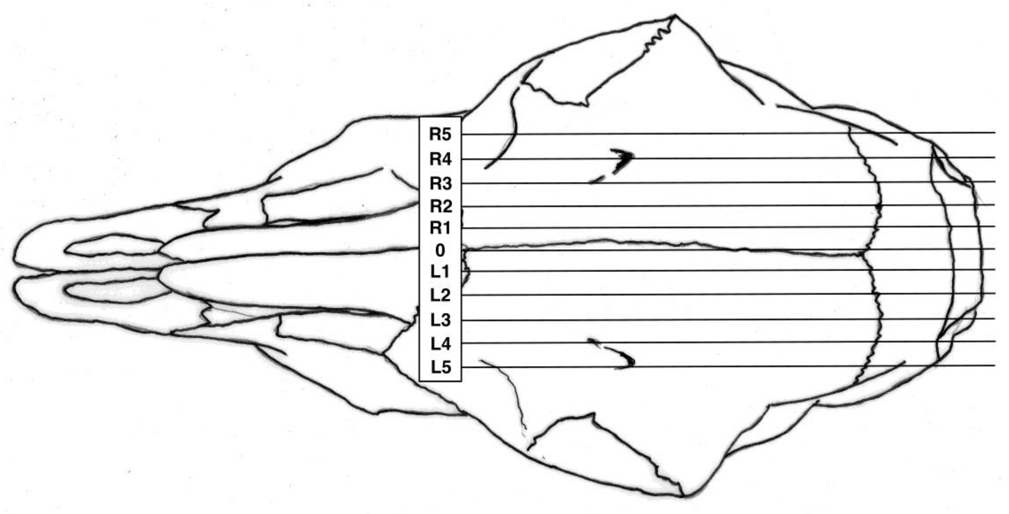 Animals 08 00049 g002