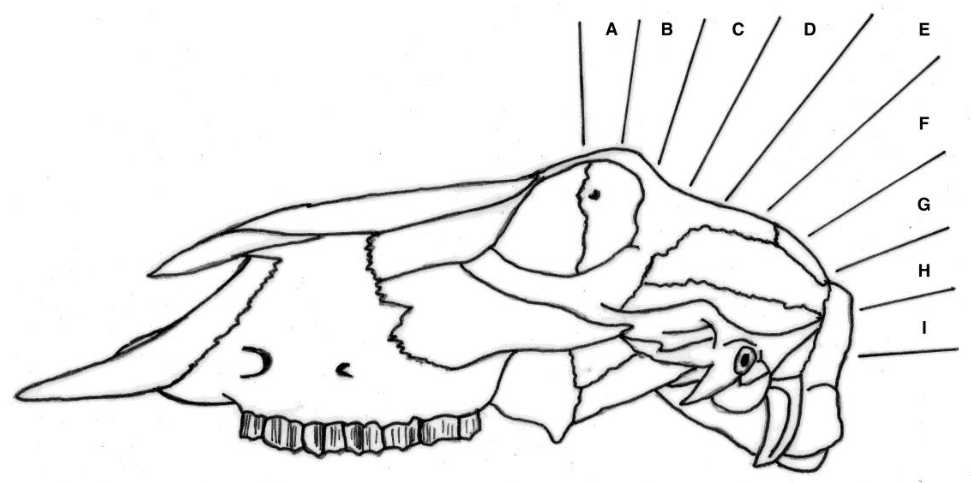 Animals 08 00049 g003