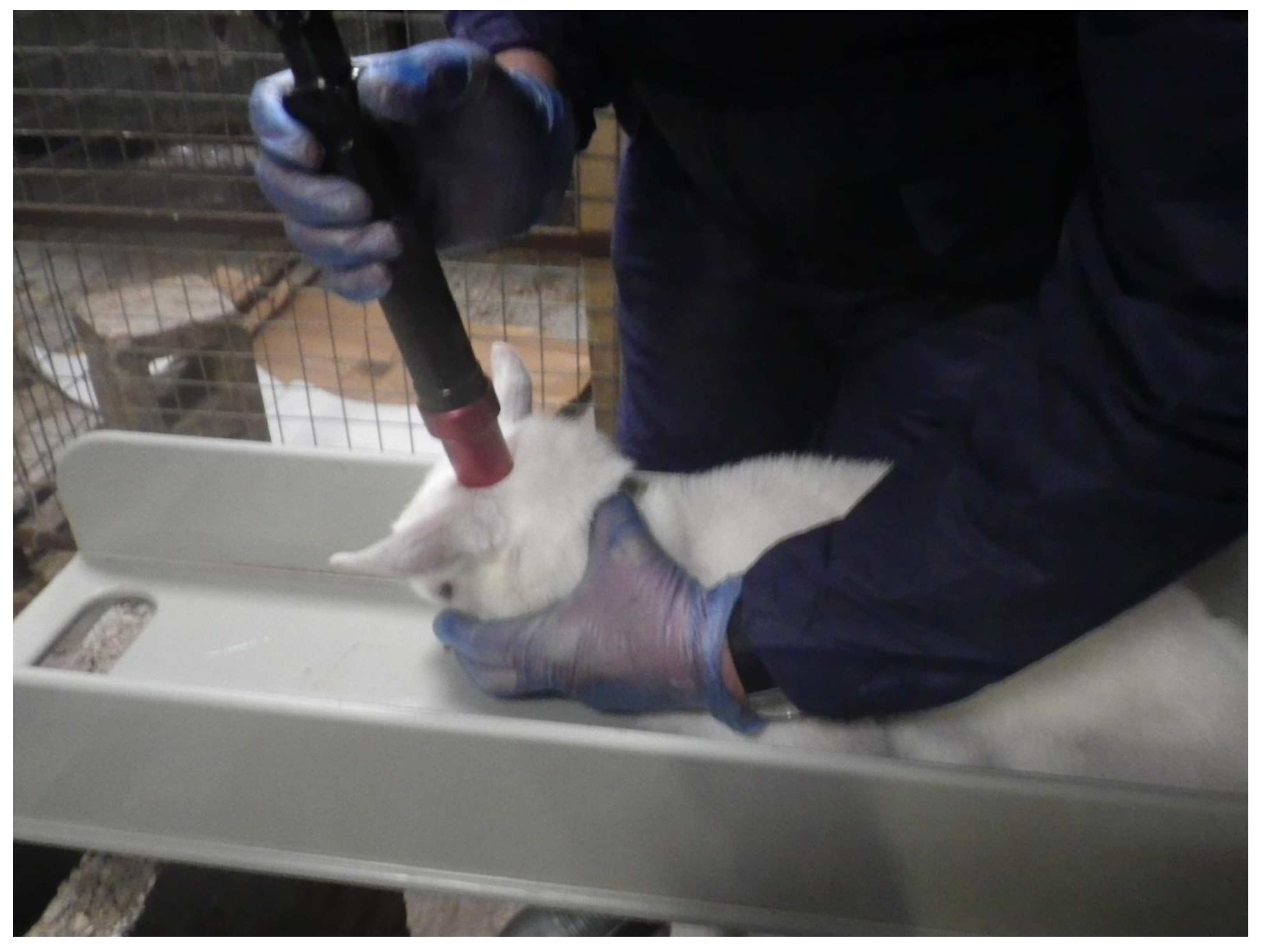 Animals 08 00049 g013