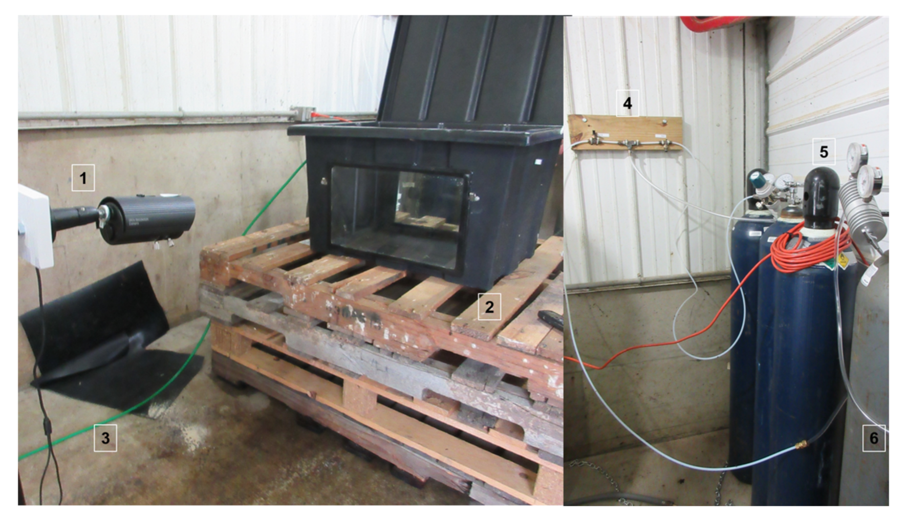 Animals 08 00052 g002