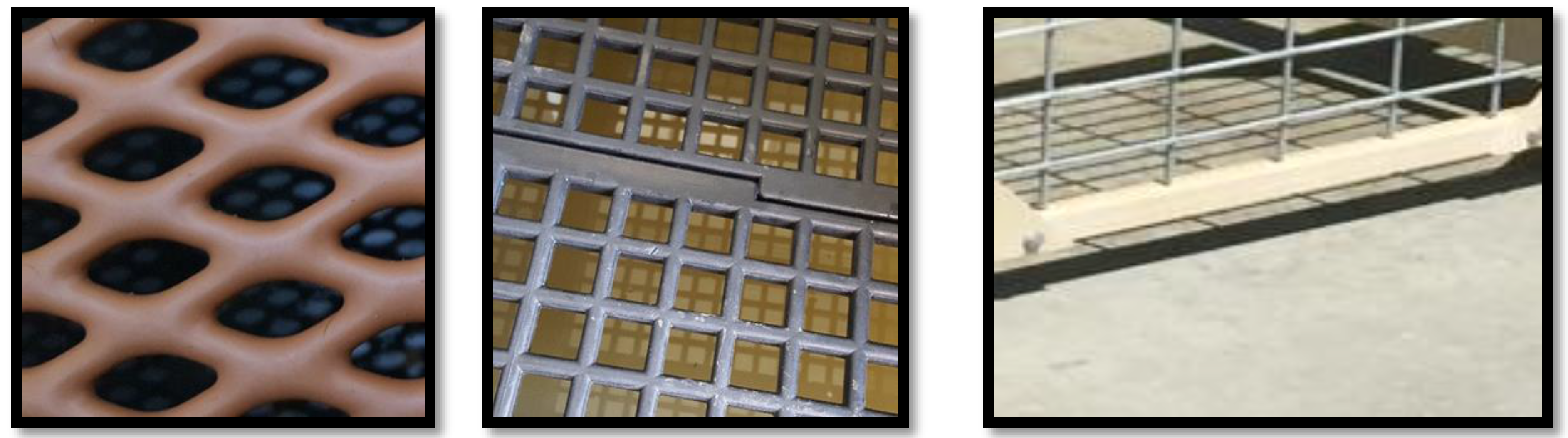 Animals 08 00059 g001