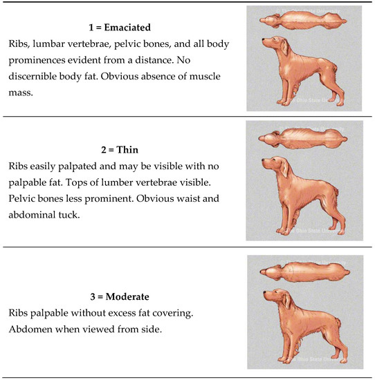 Animals 08 00059 g0a1a 550