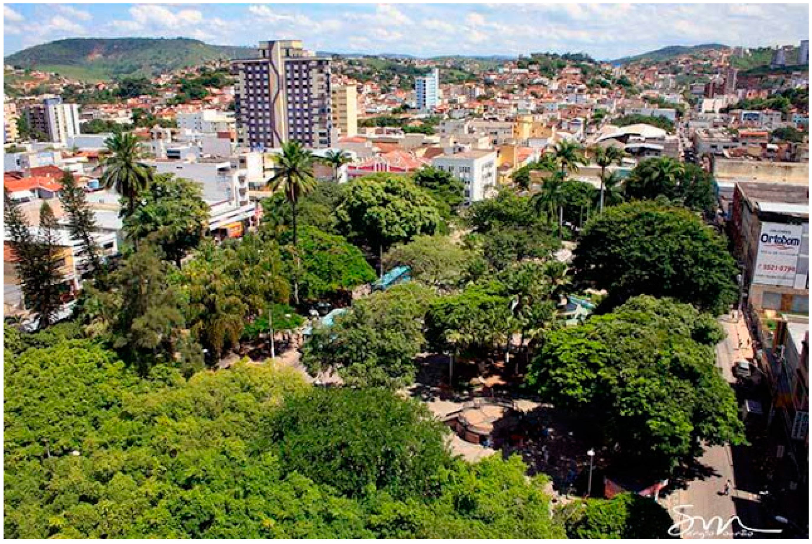 Animals 08 00090 g003b