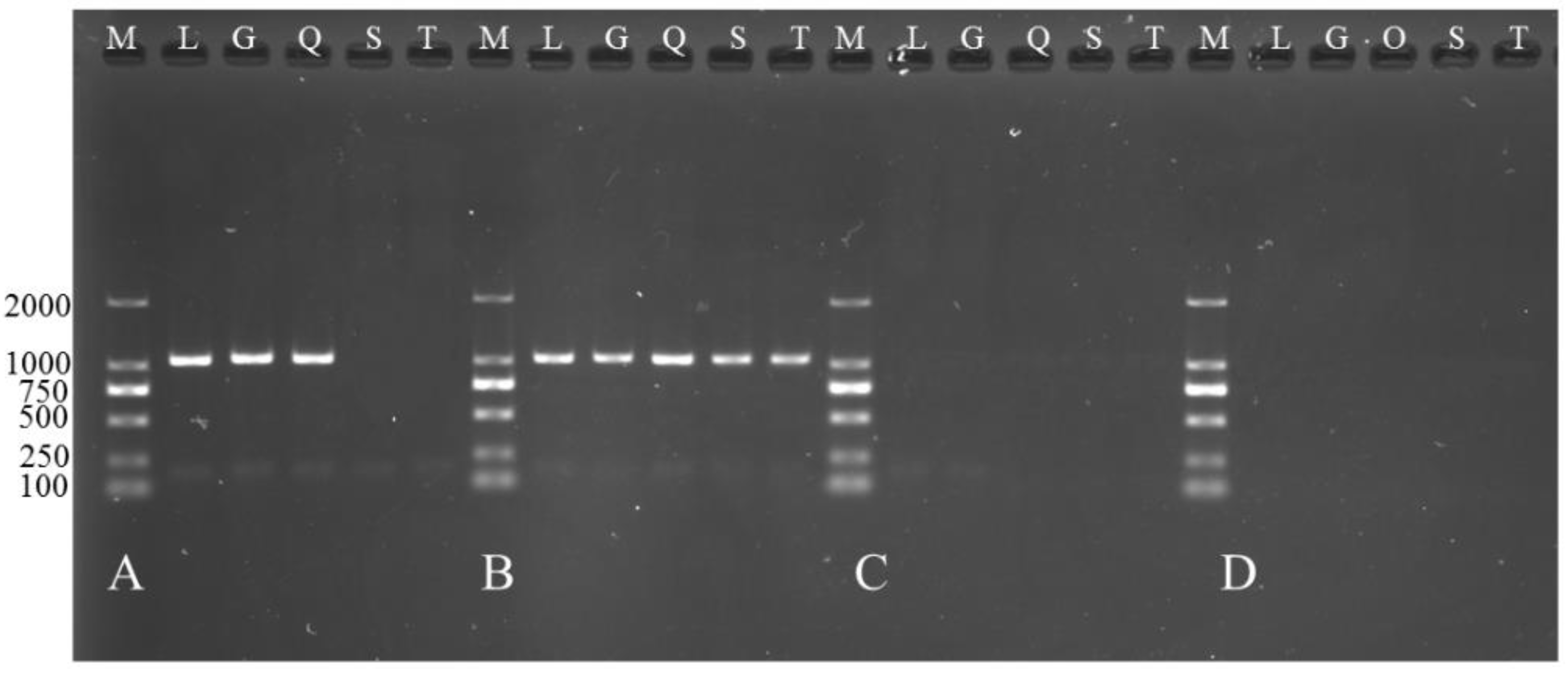 Animals 08 00127 g008