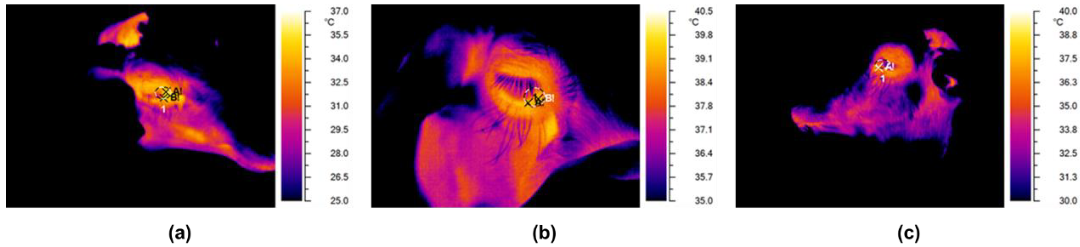 Animals 08 00146 g001