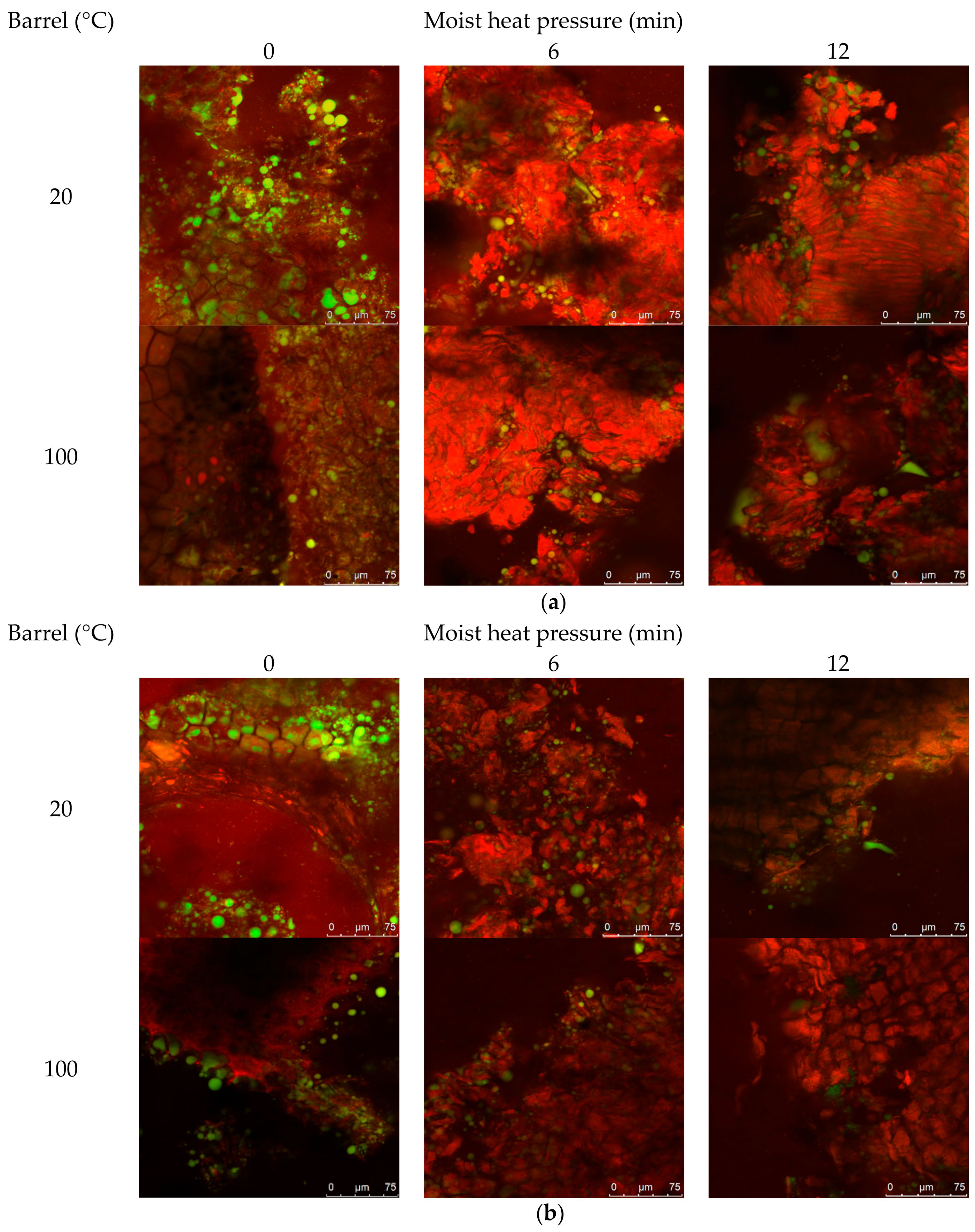 Animals 08 00147 g002 Animals 08 00147 g002