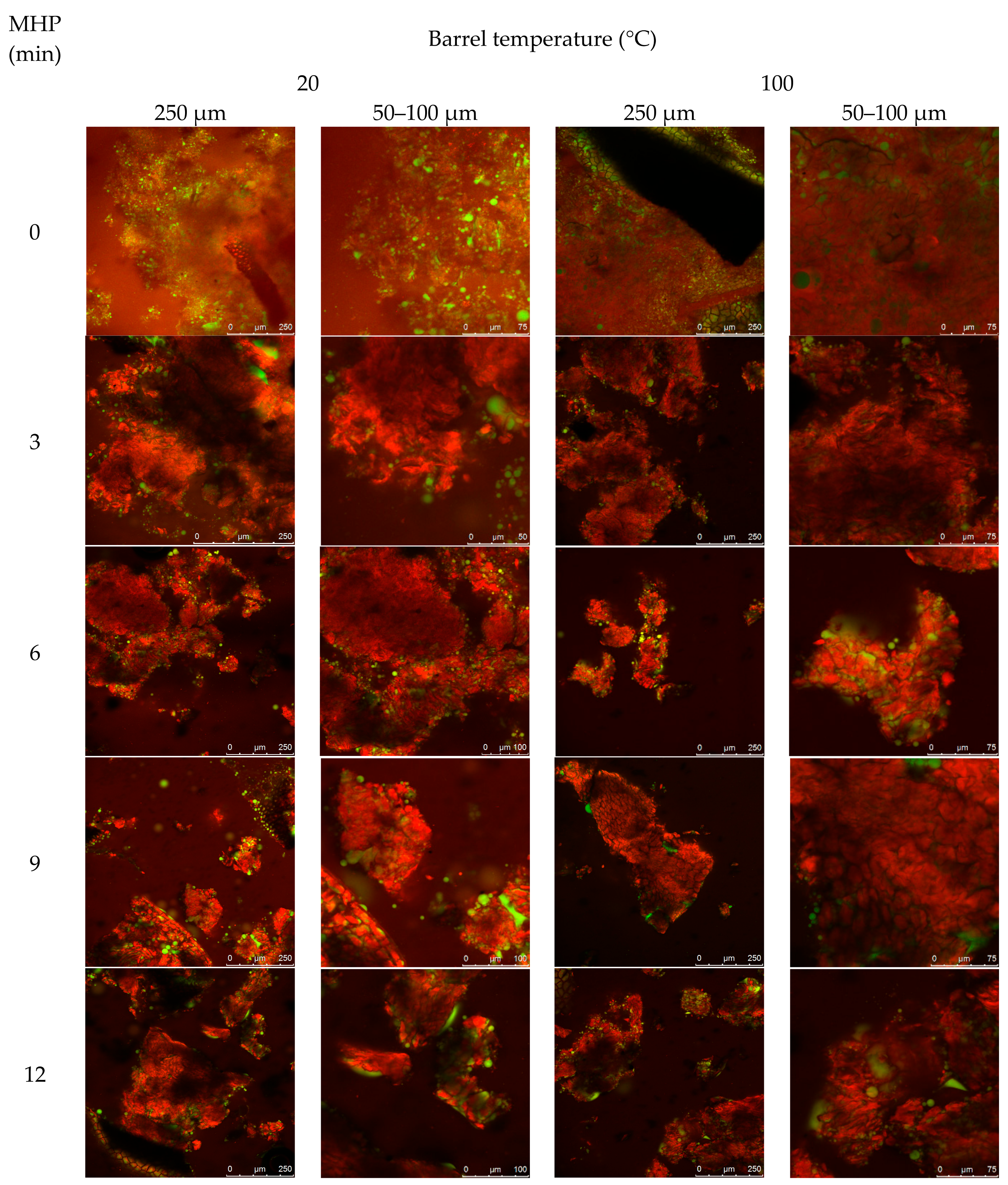 Animals 08 00147 g0a2 Animals 08 00147 g0a2