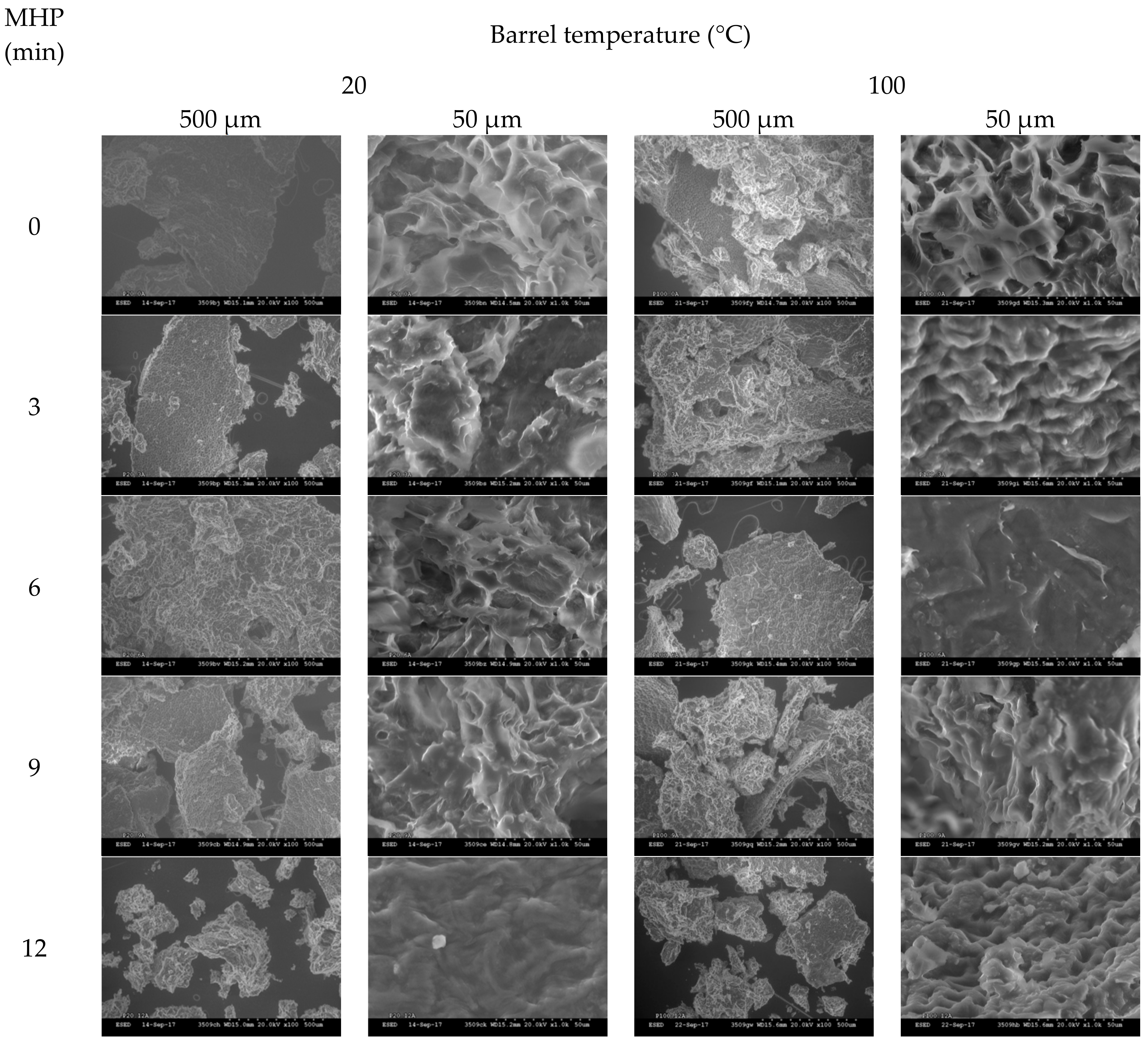 Animals 08 00147 g0a5 Animals 08 00147 g0a5