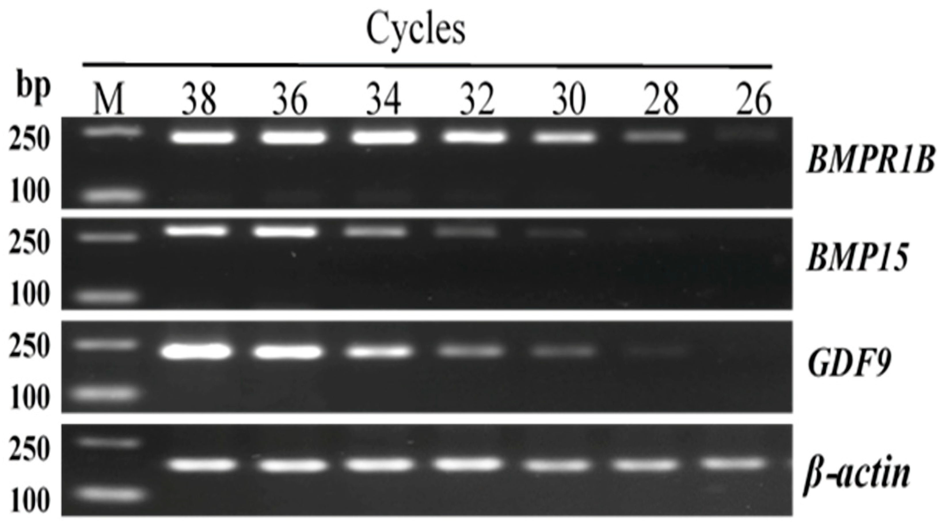 Animals 08 00166 g001 Animals 08 00166 g001