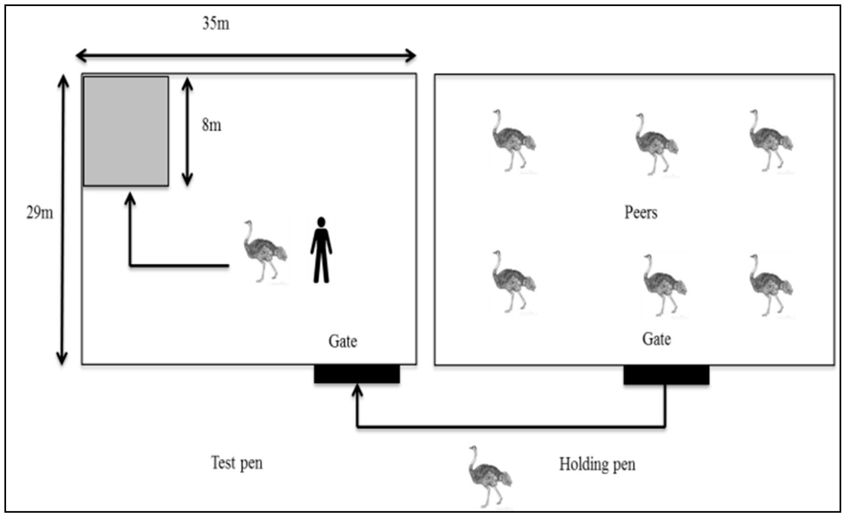 Animals 08 00175 g001