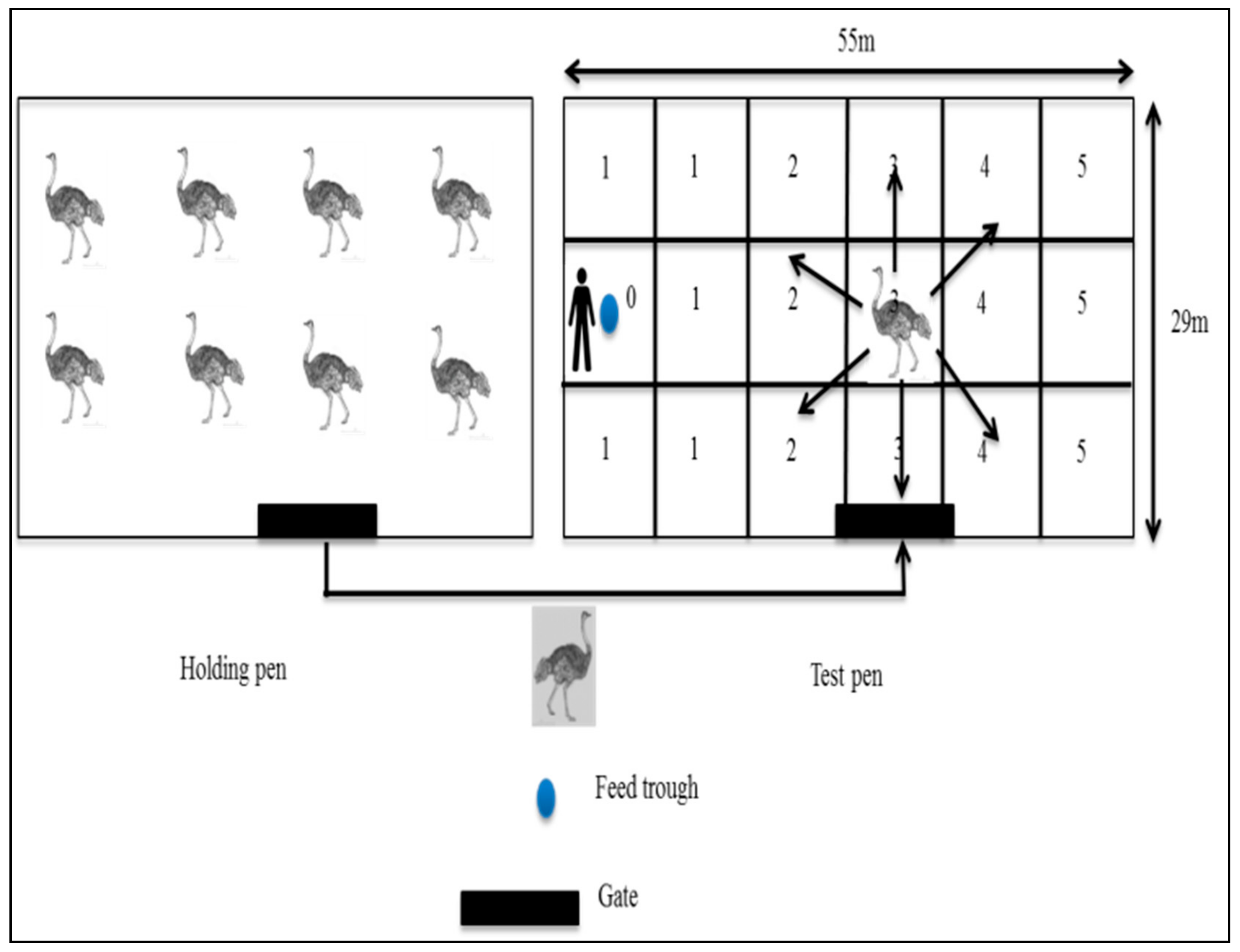 Animals 08 00175 g002
