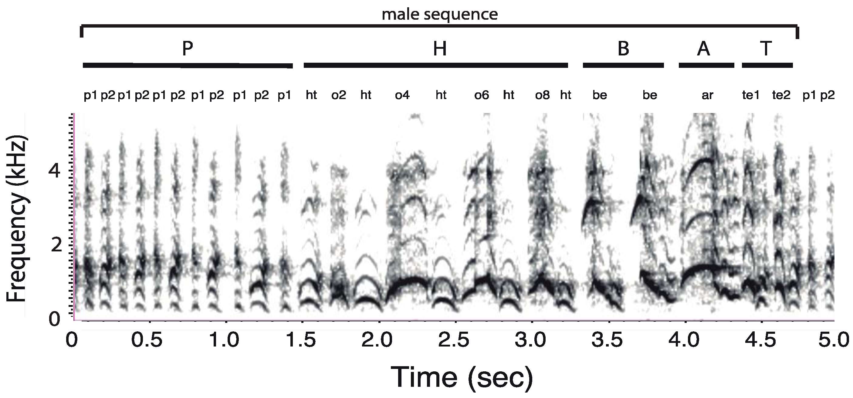 Animals 08 00178 g003 Animals 08 00178 g003