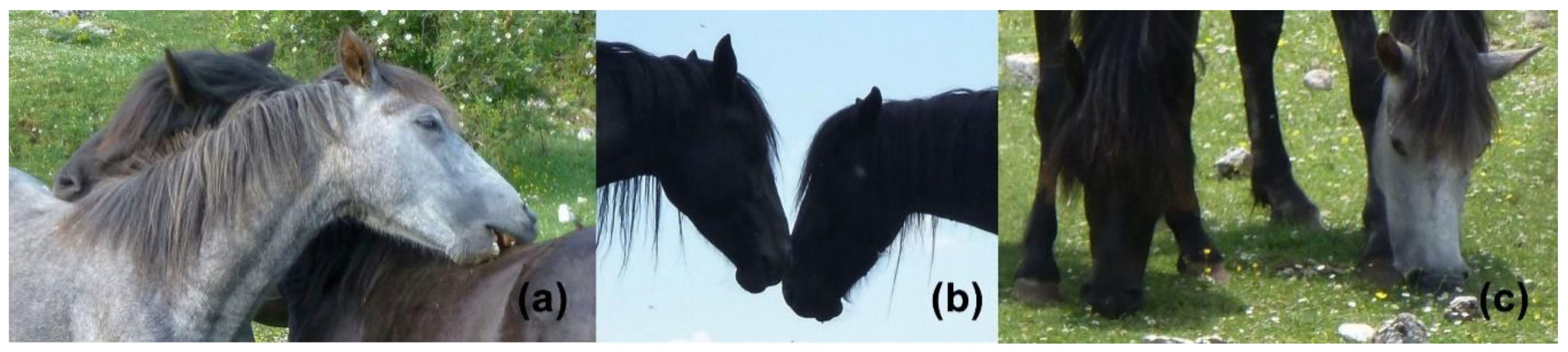 Animals 08 00191 g001