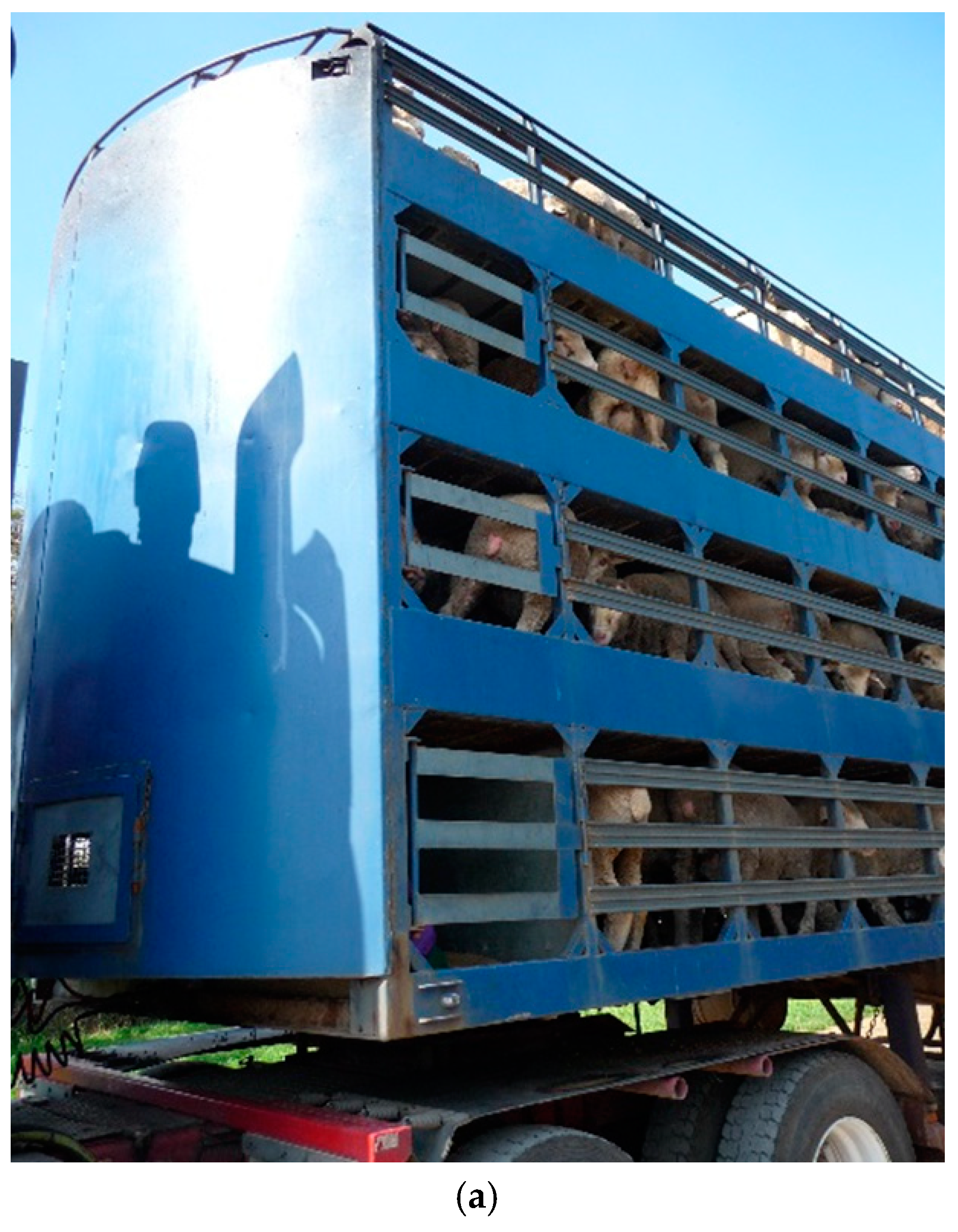 Animals 08 00209 g002a Animals 08 00209 g002a