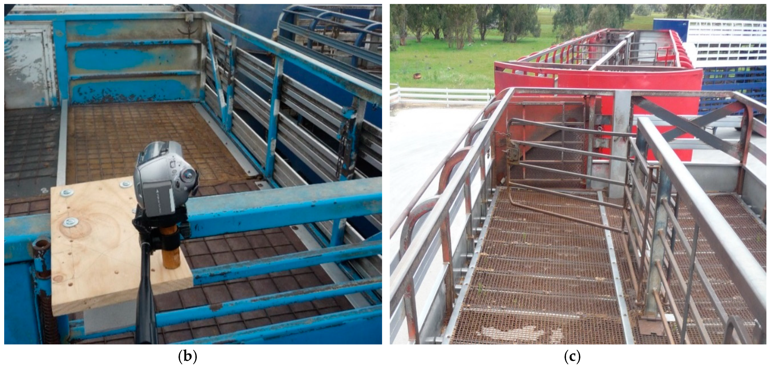 Animals 08 00209 g002b Animals 08 00209 g002b