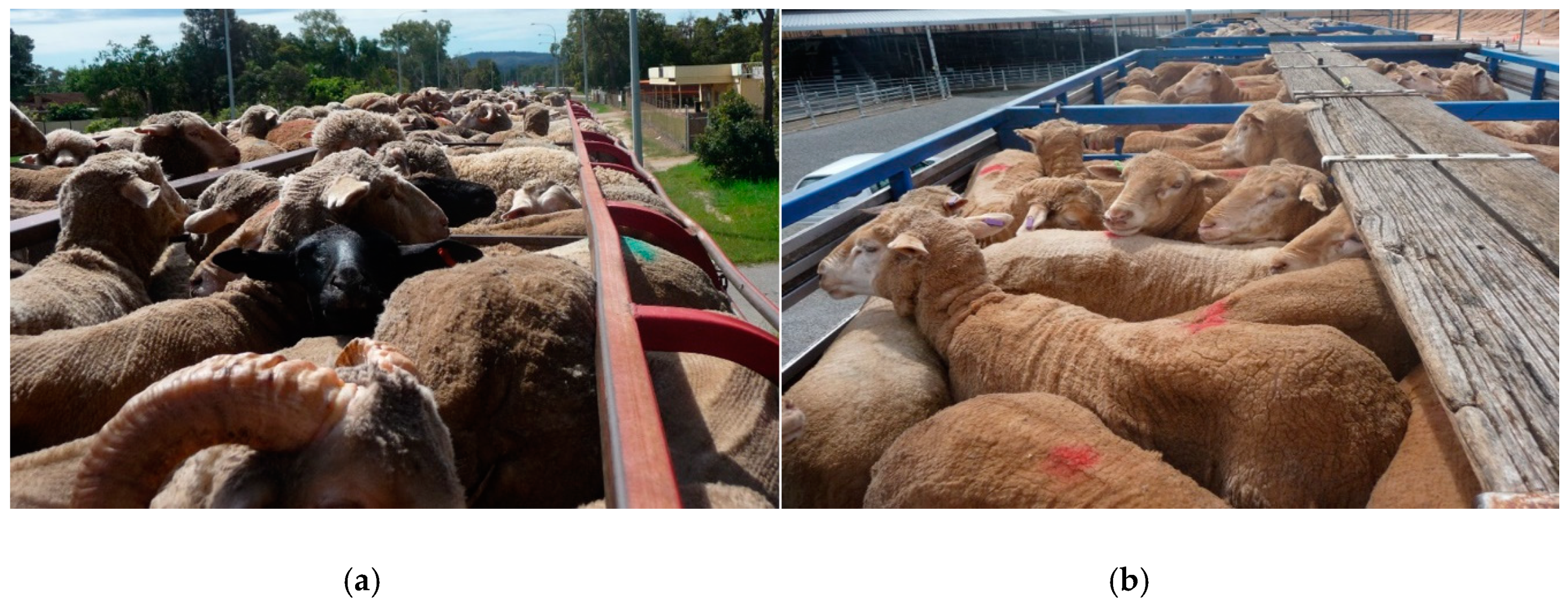 Animals 08 00209 g003 Animals 08 00209 g003