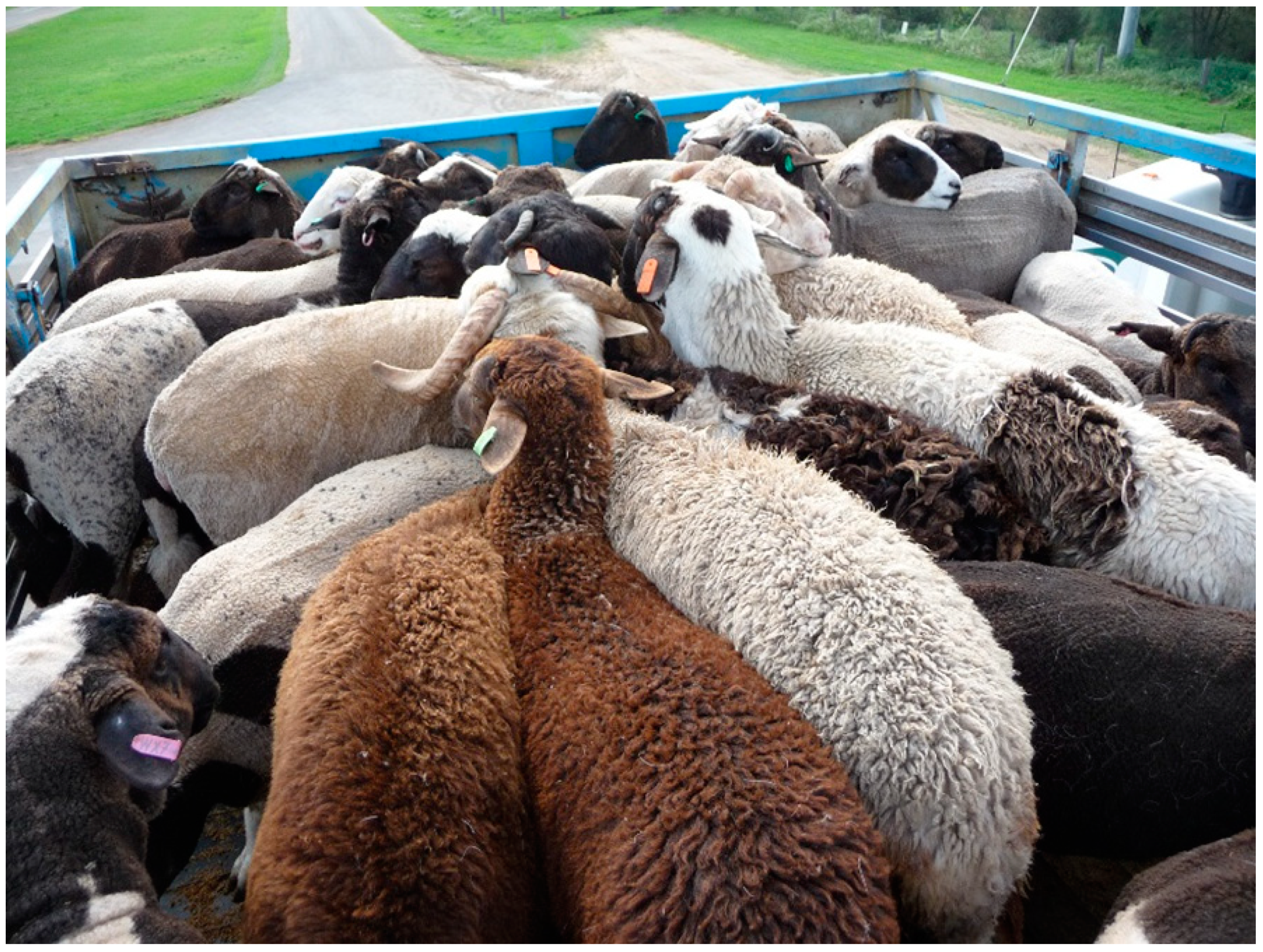 Animals 08 00209 g004 Animals 08 00209 g004