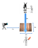 Animals 08 00215 i010