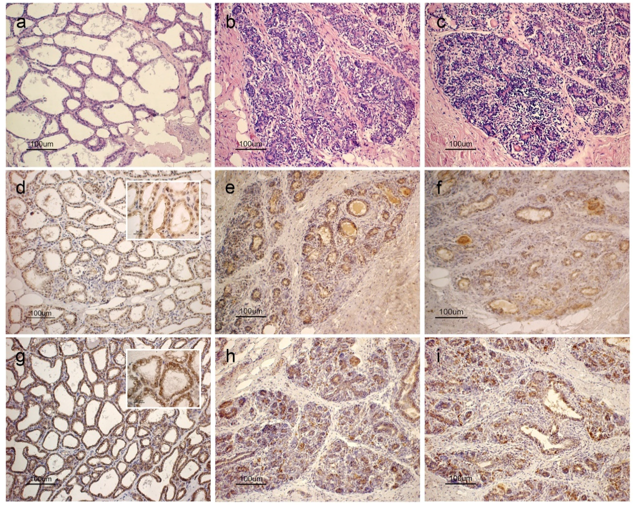 Animals 08 00223 g001