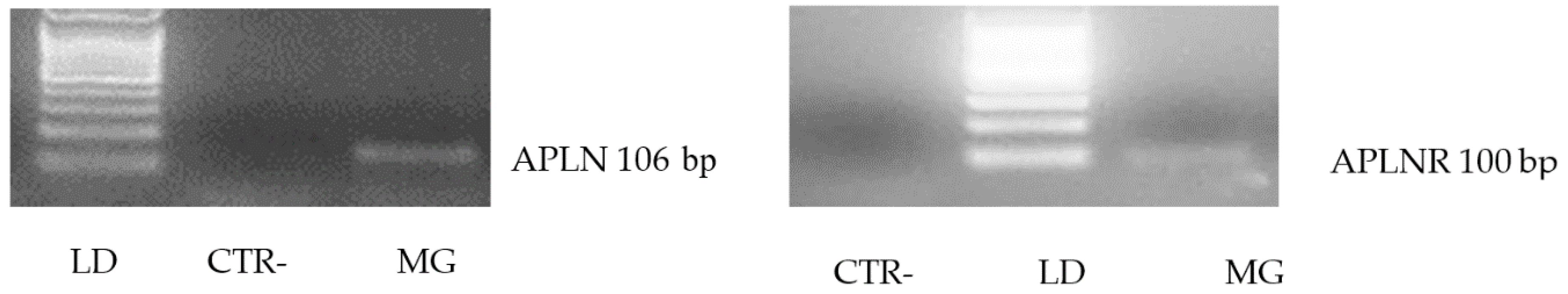 Animals 08 00223 g002