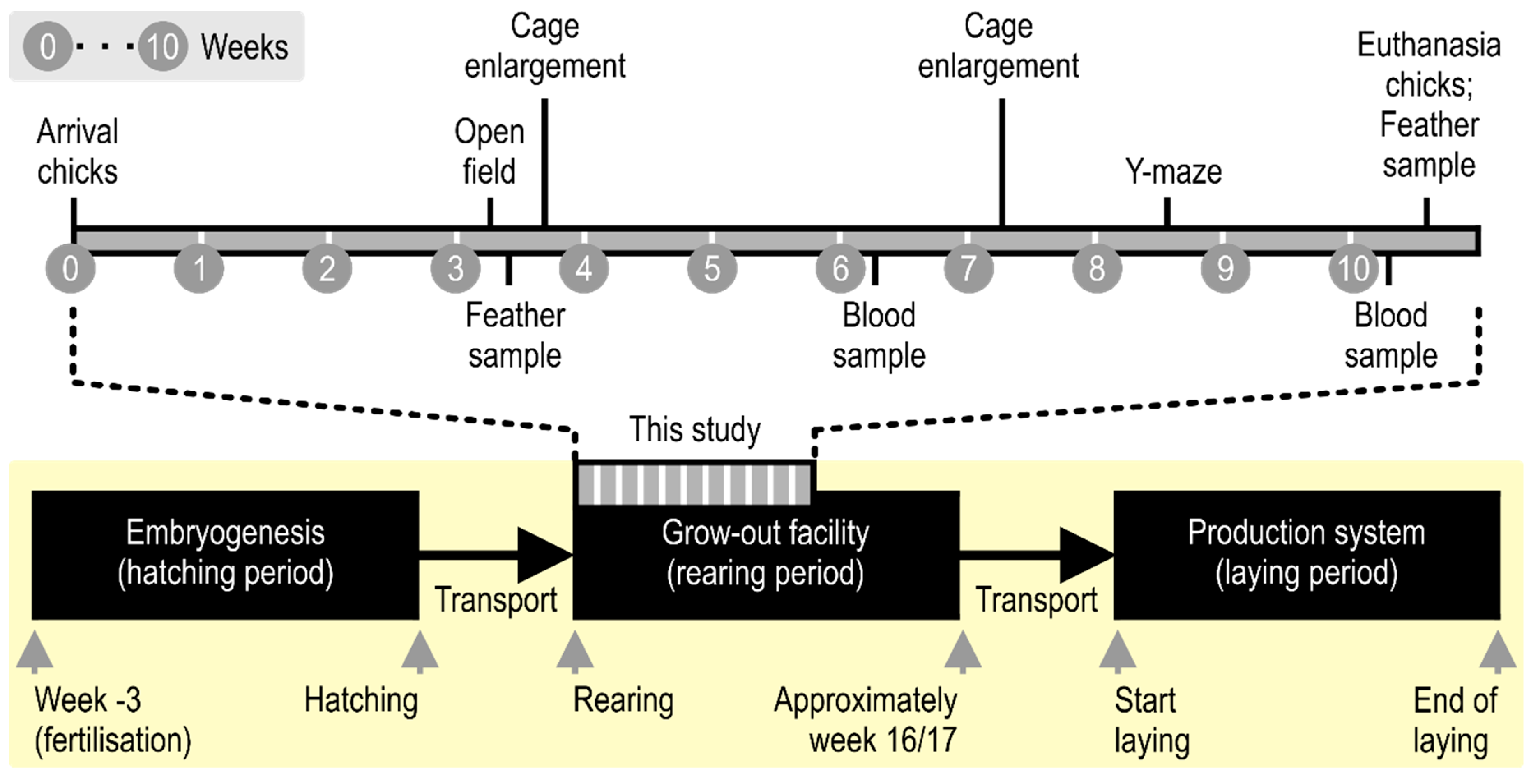 Animals 09 00053 g001 Animals 09 00053 g001