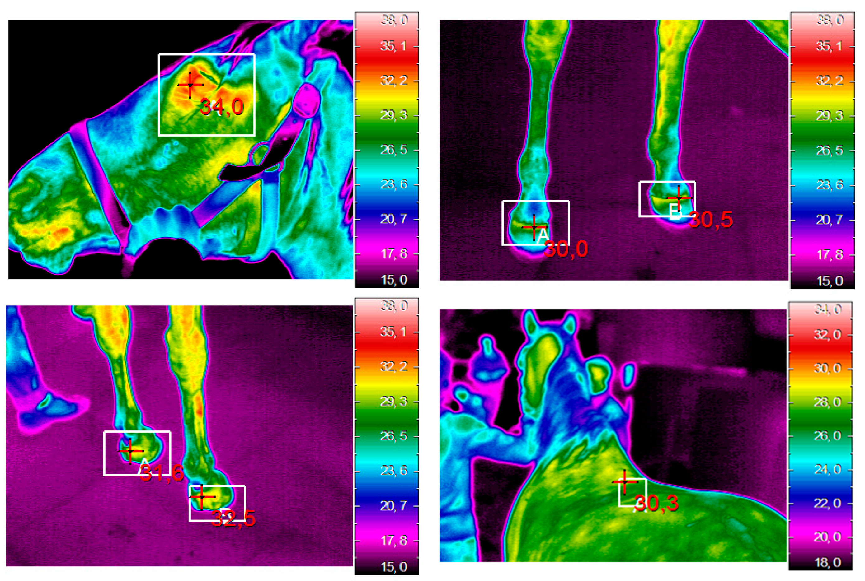 Animals 09 00084 g005