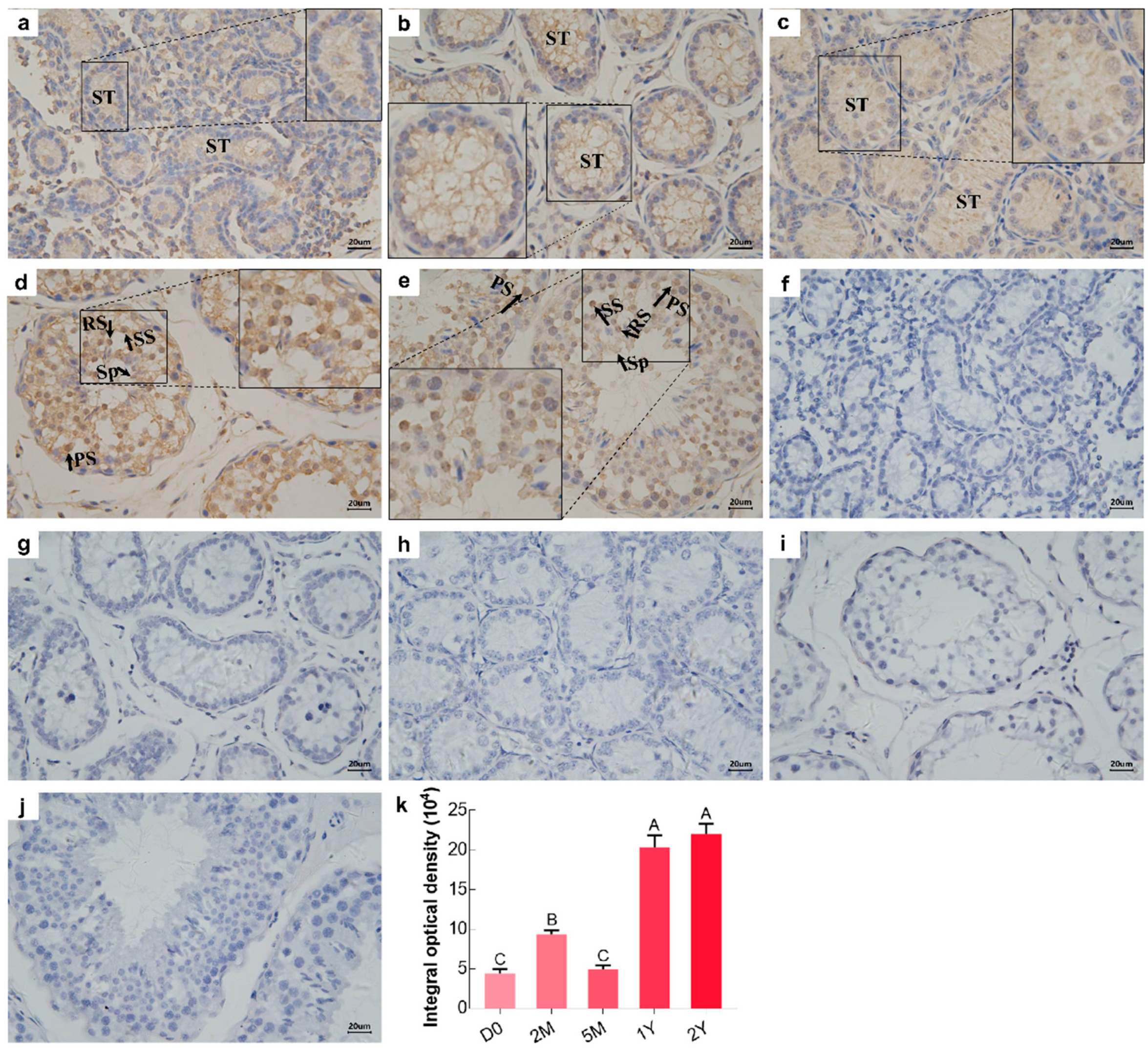 Animals 09 00105 g004 Animals 09 00105 g004