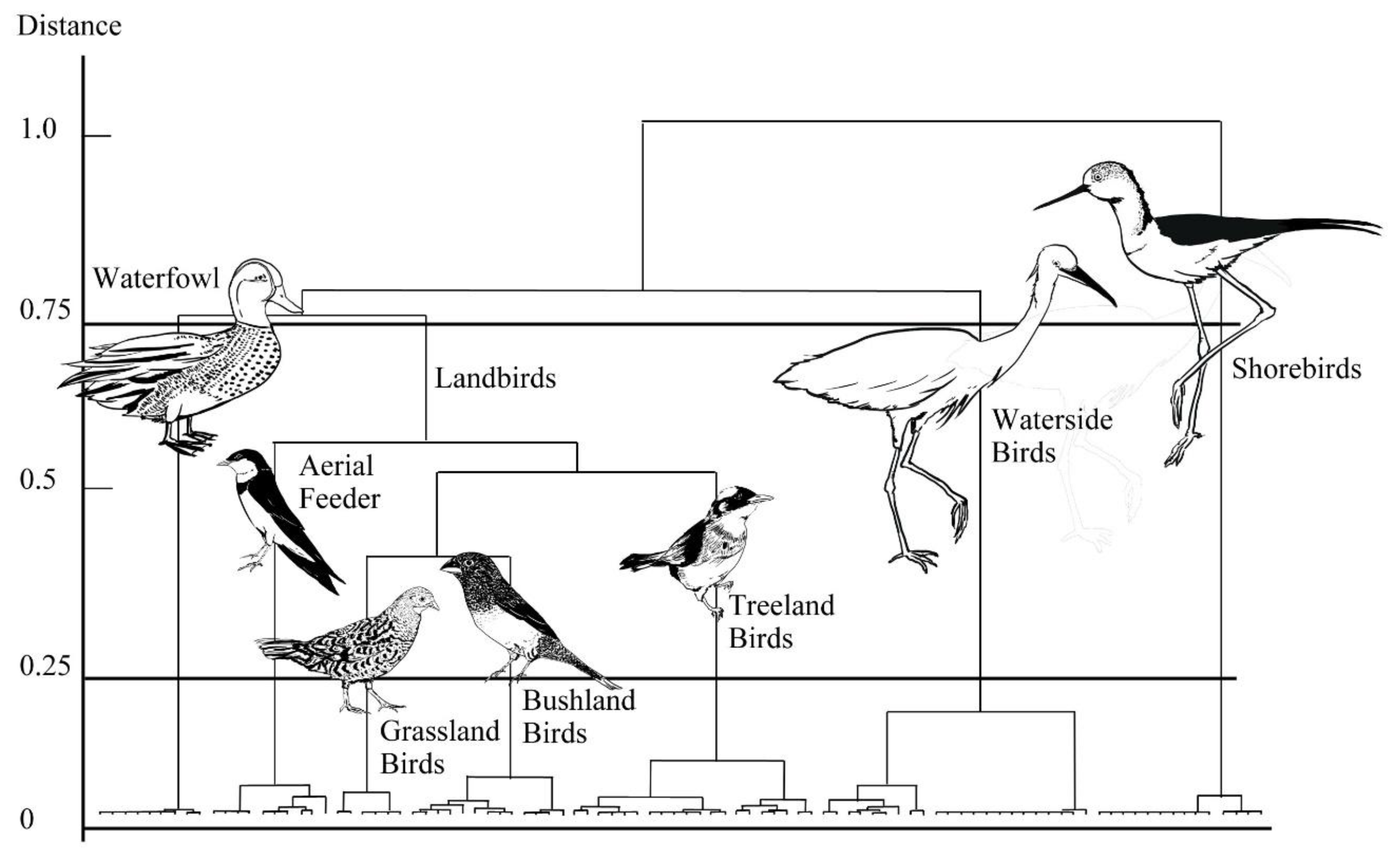 Animals 09 00113 g002