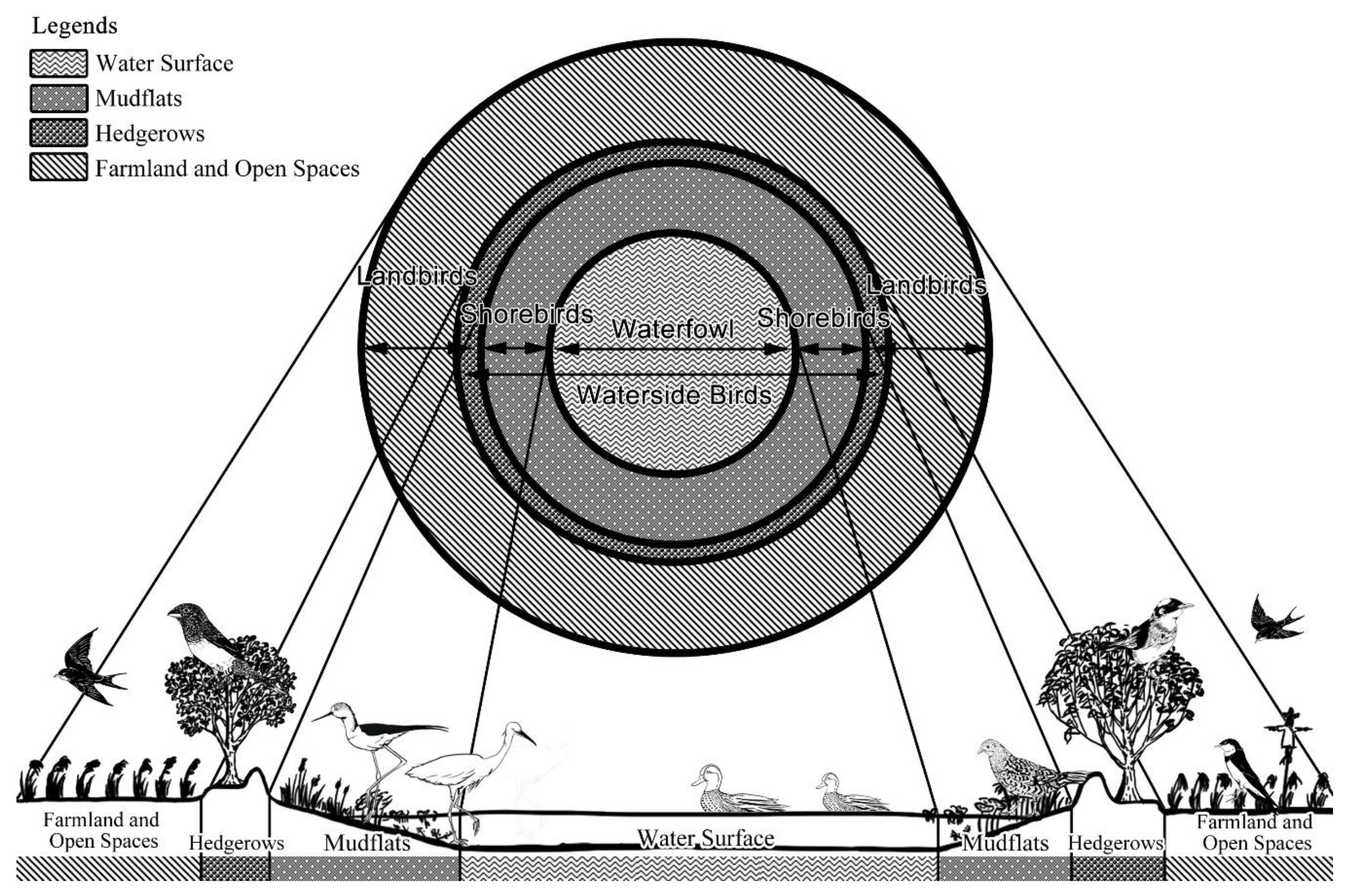 Animals 09 00113 g003