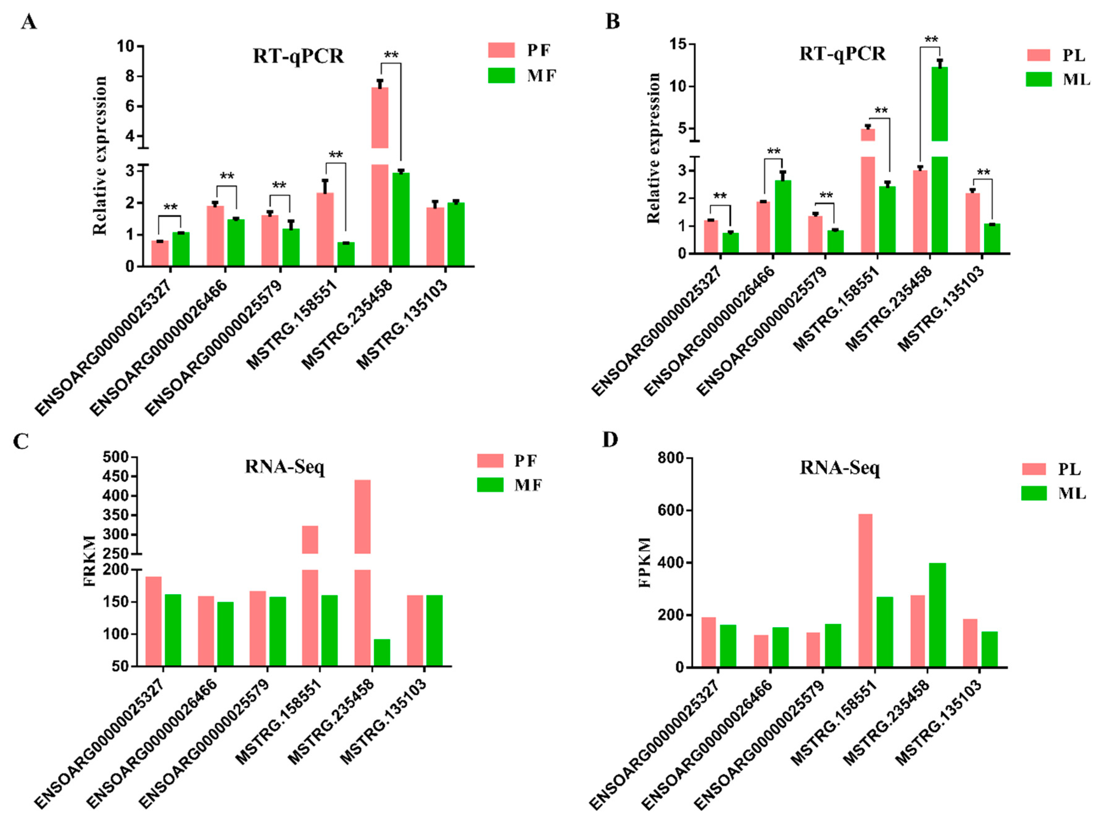 Animals 09 00152 g004