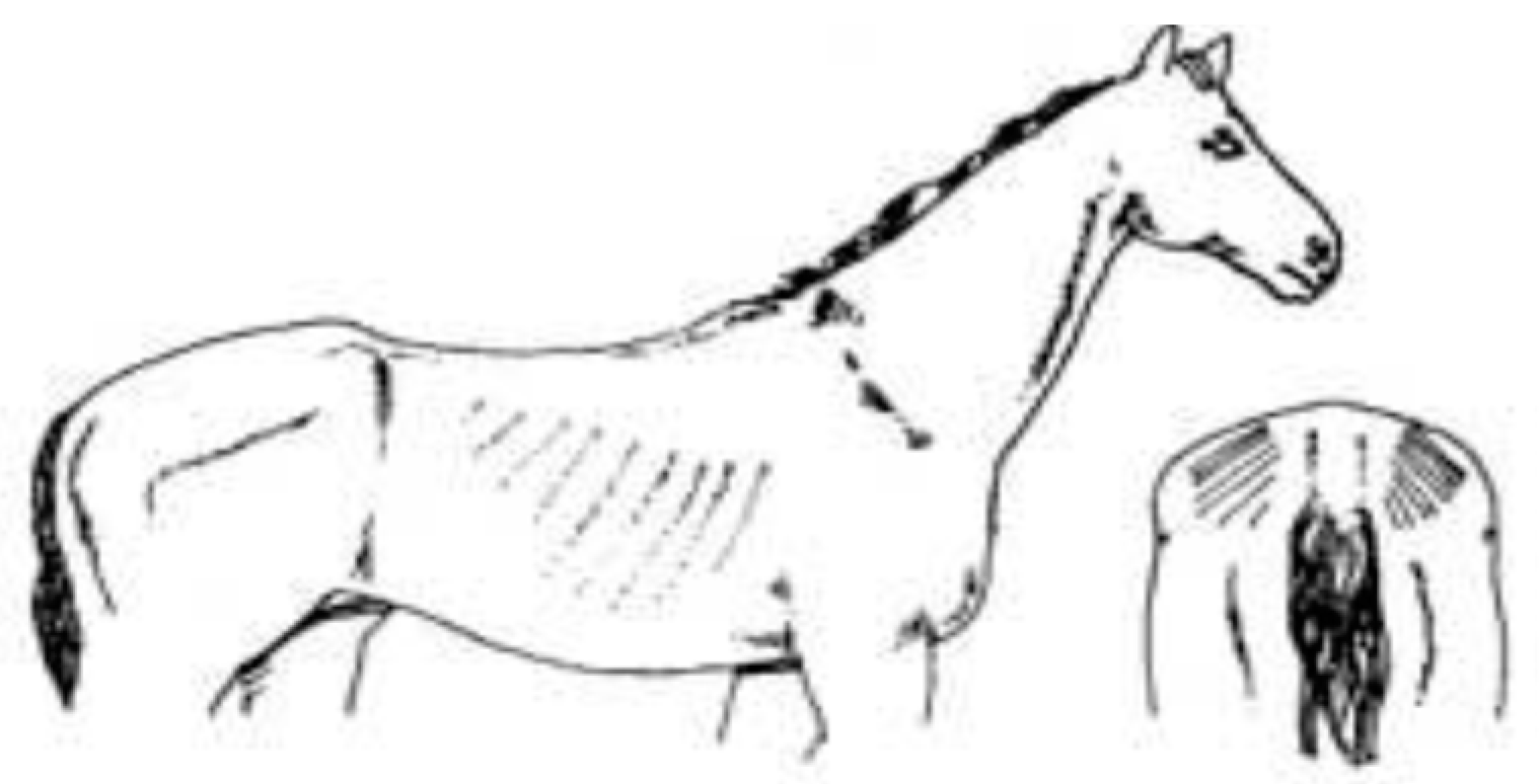 Animals 09 00162 i003