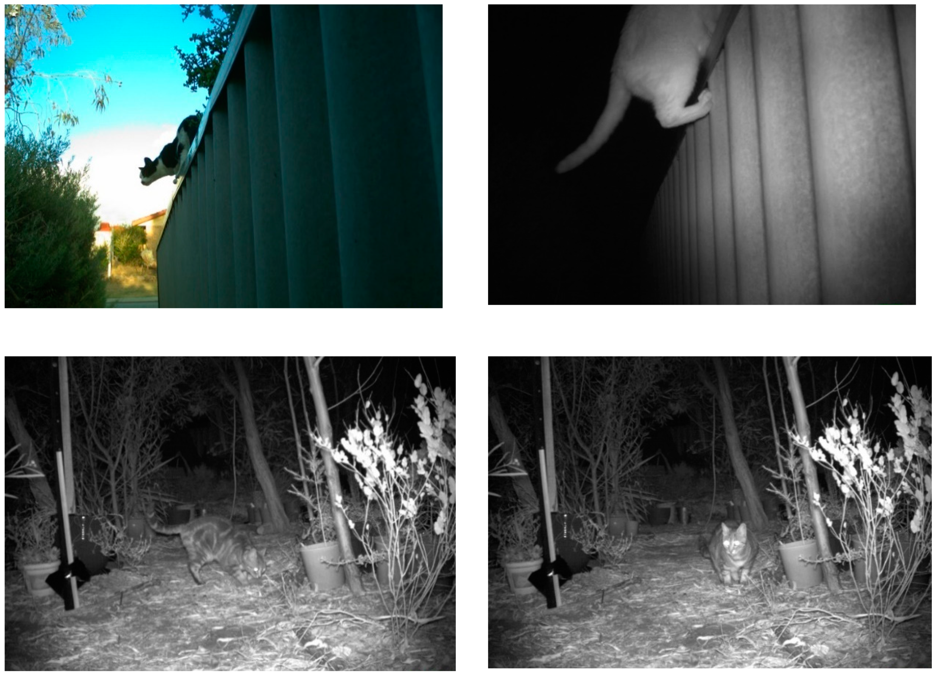 Animals 09 00171 g002