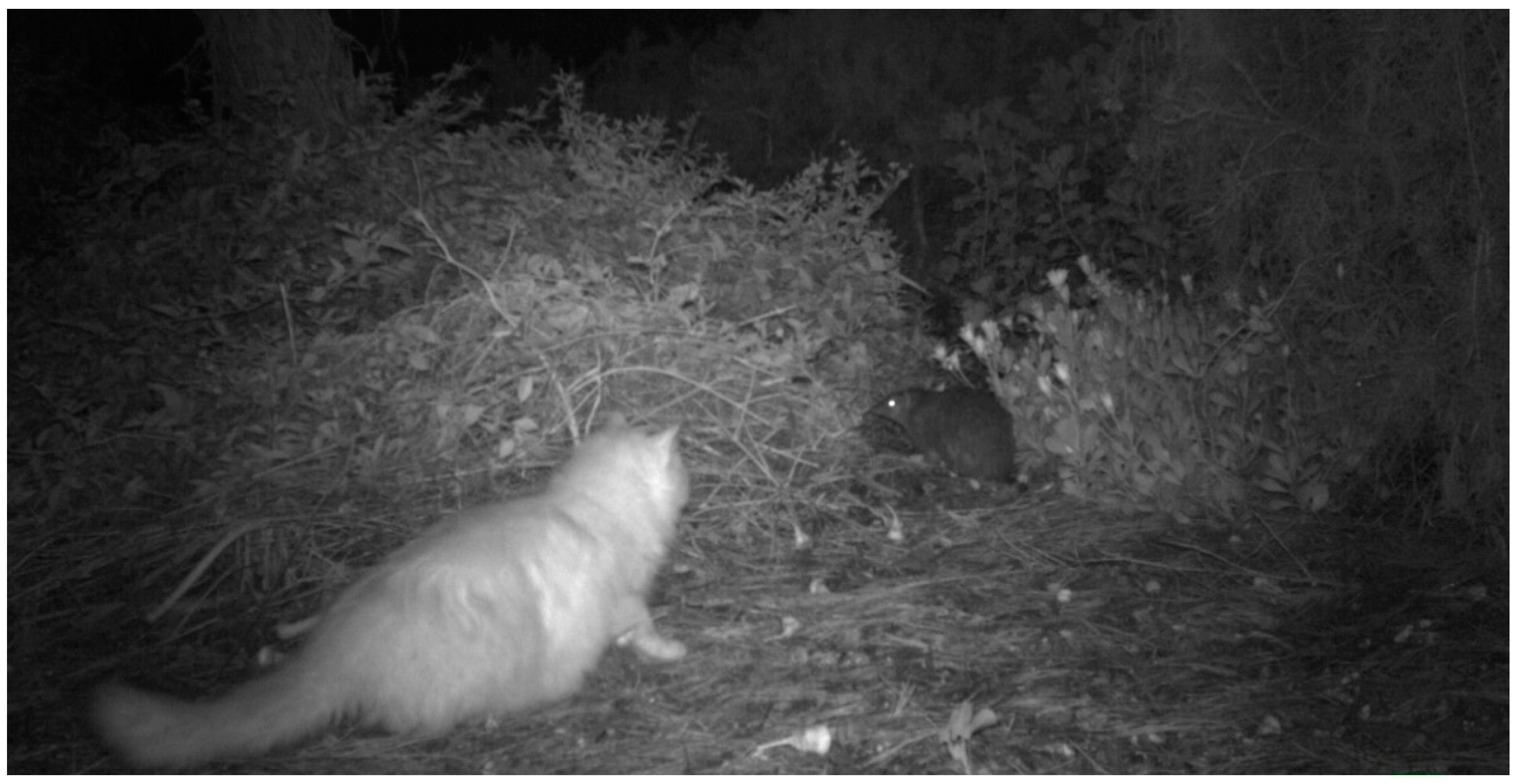 Animals 09 00171 g004