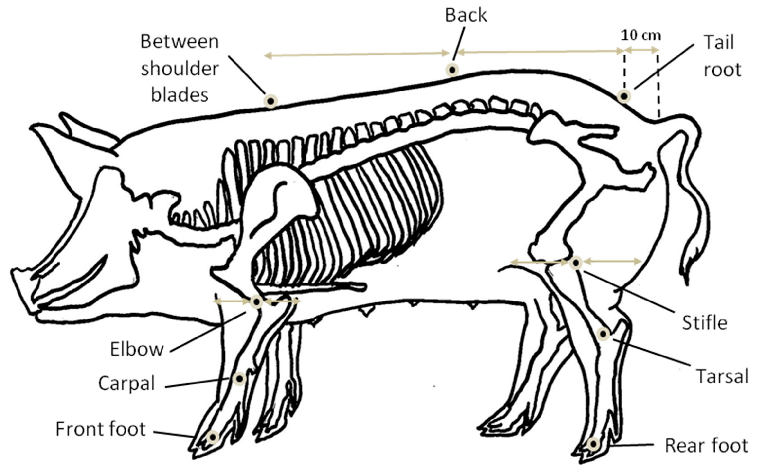 Animals 09 00206 g002 Animals 09 00206 g002