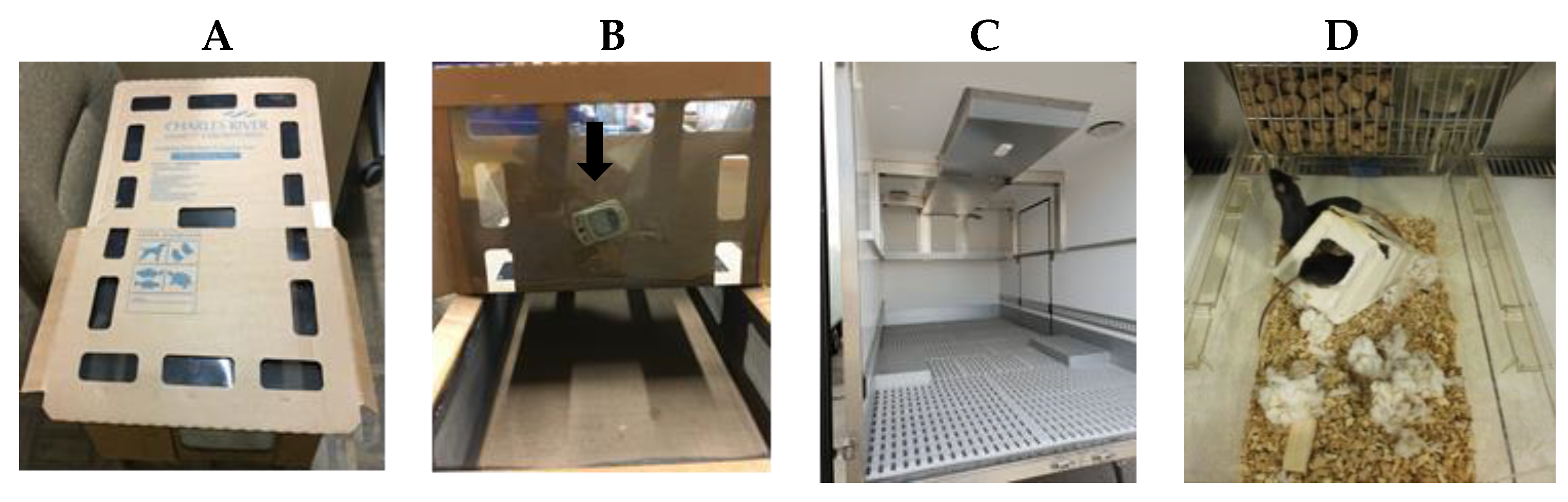 Animals 09 00239 g001 Animals 09 00239 g001